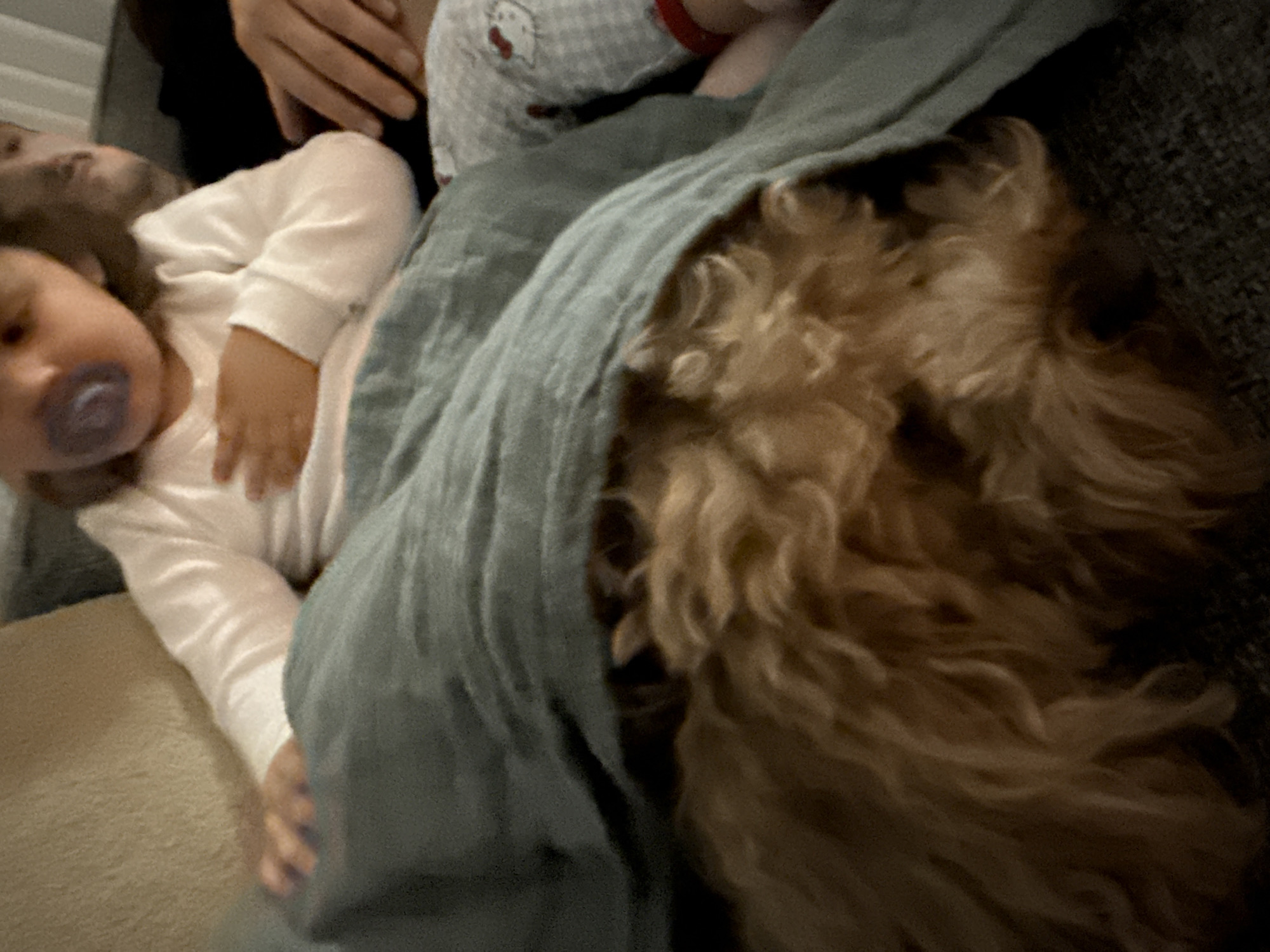 Quiet family moments captured in Loures homes