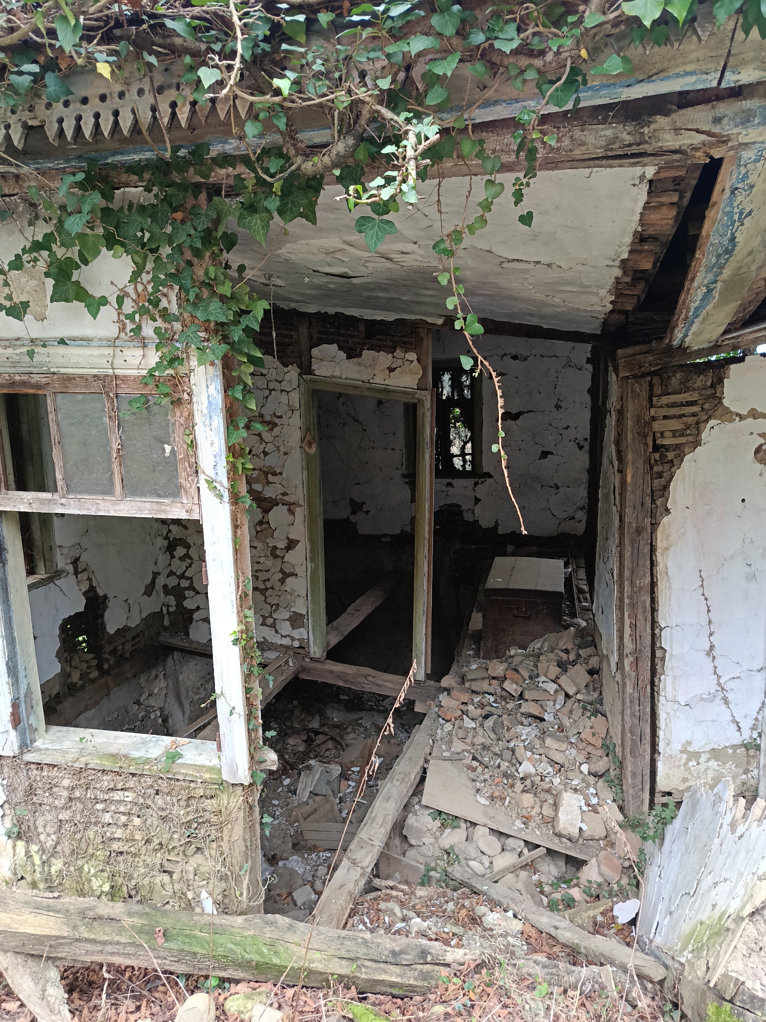 Spring blooms amid abandoned structures in Abkhazian villages
