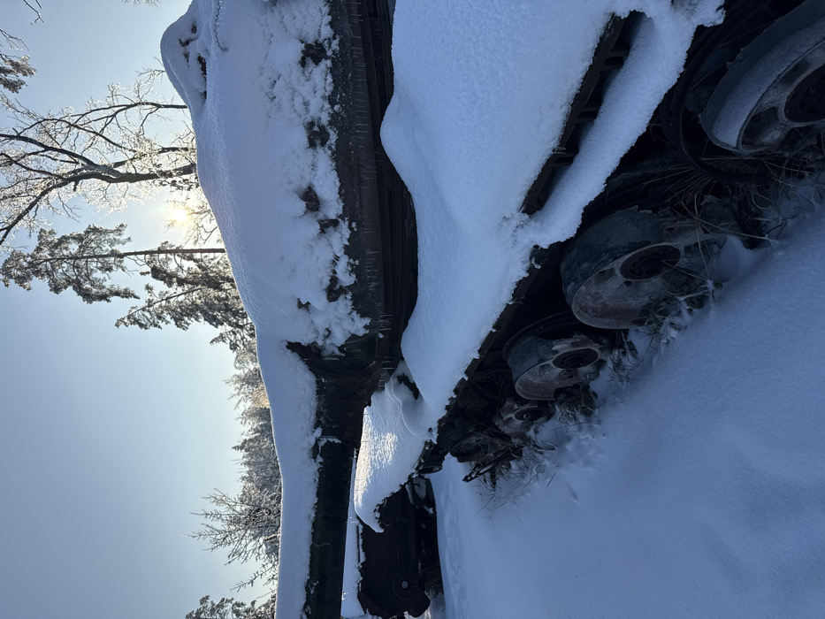 Abandoned military vehicles spotted in snowy Ukrainian forest