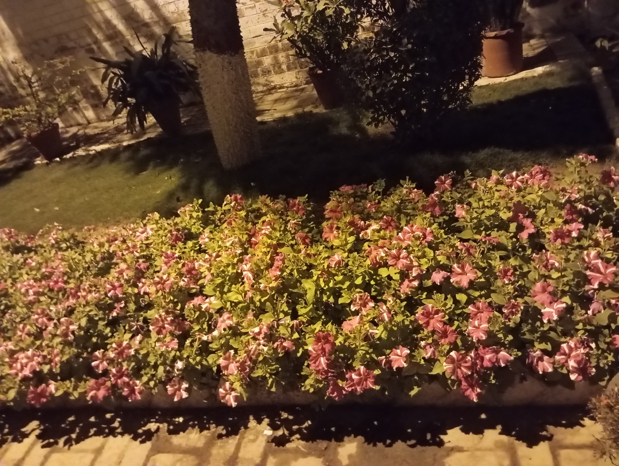Nighttime street scenes documented across Pakistani communities
