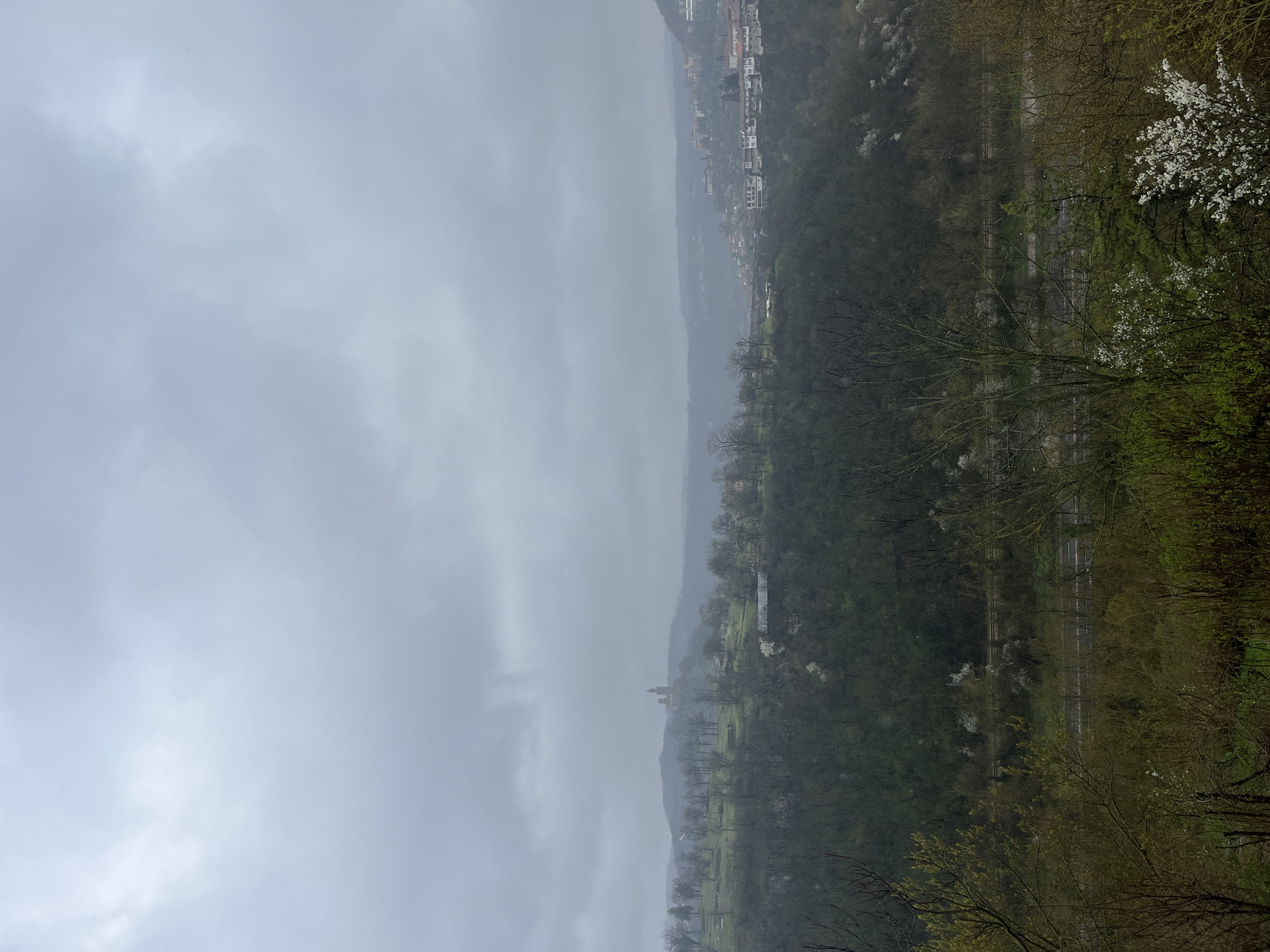 Spring blossoms observed in Veliko Tarnovo valley landscape