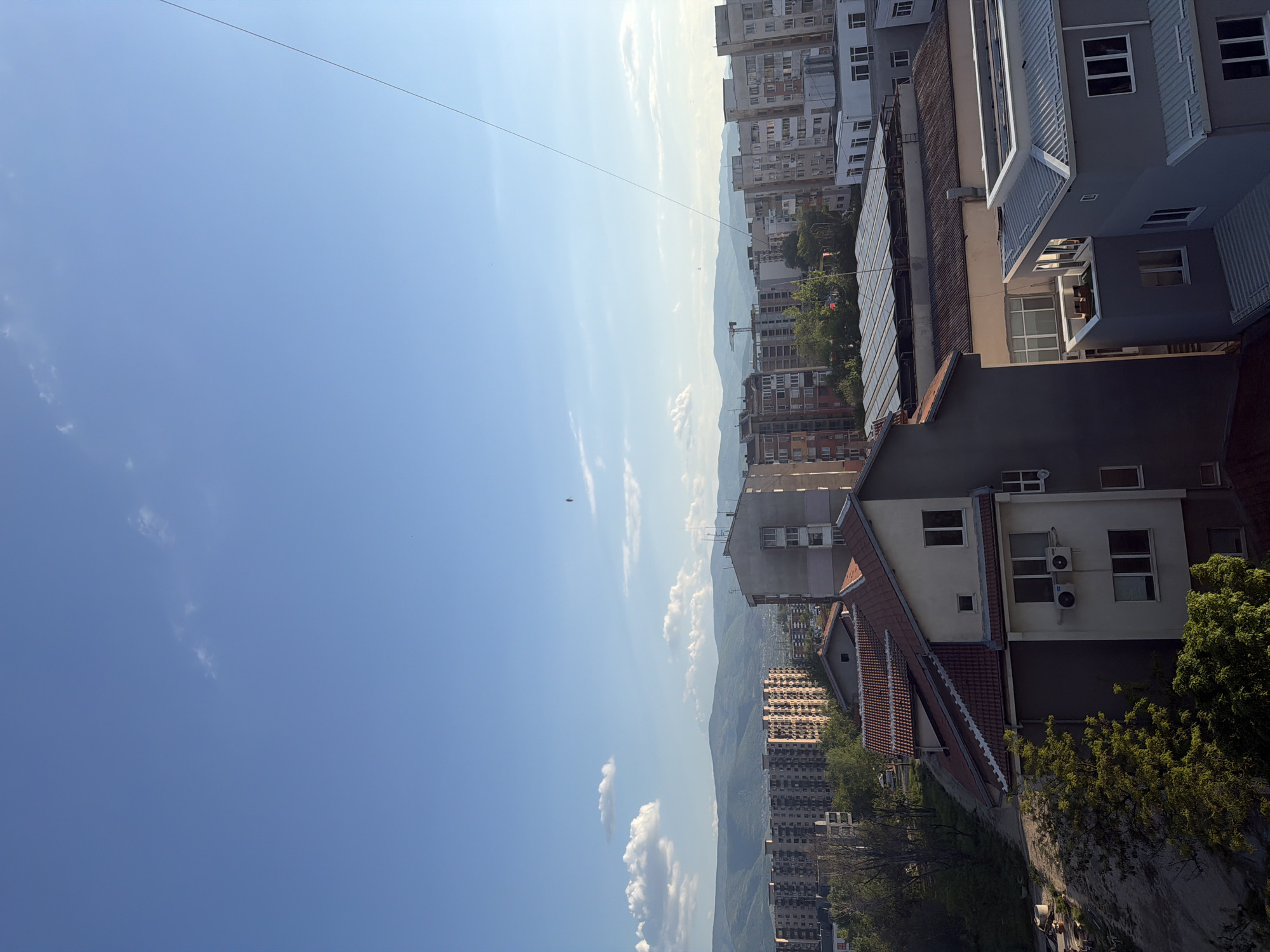 Urban and botanical scenes documented in Plovdiv, Bulgaria