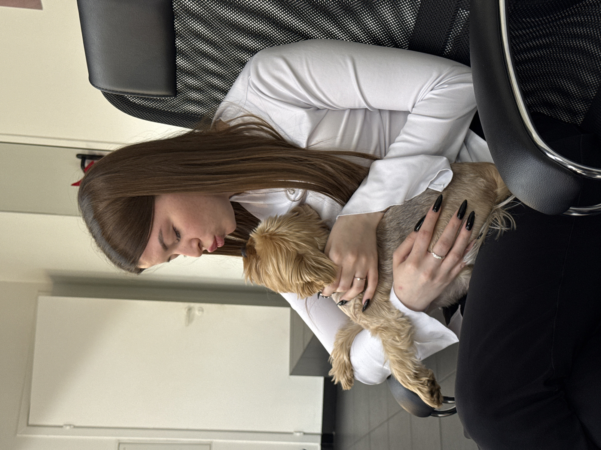 Small dog gets held inside a modern Nizhny Novgorod office