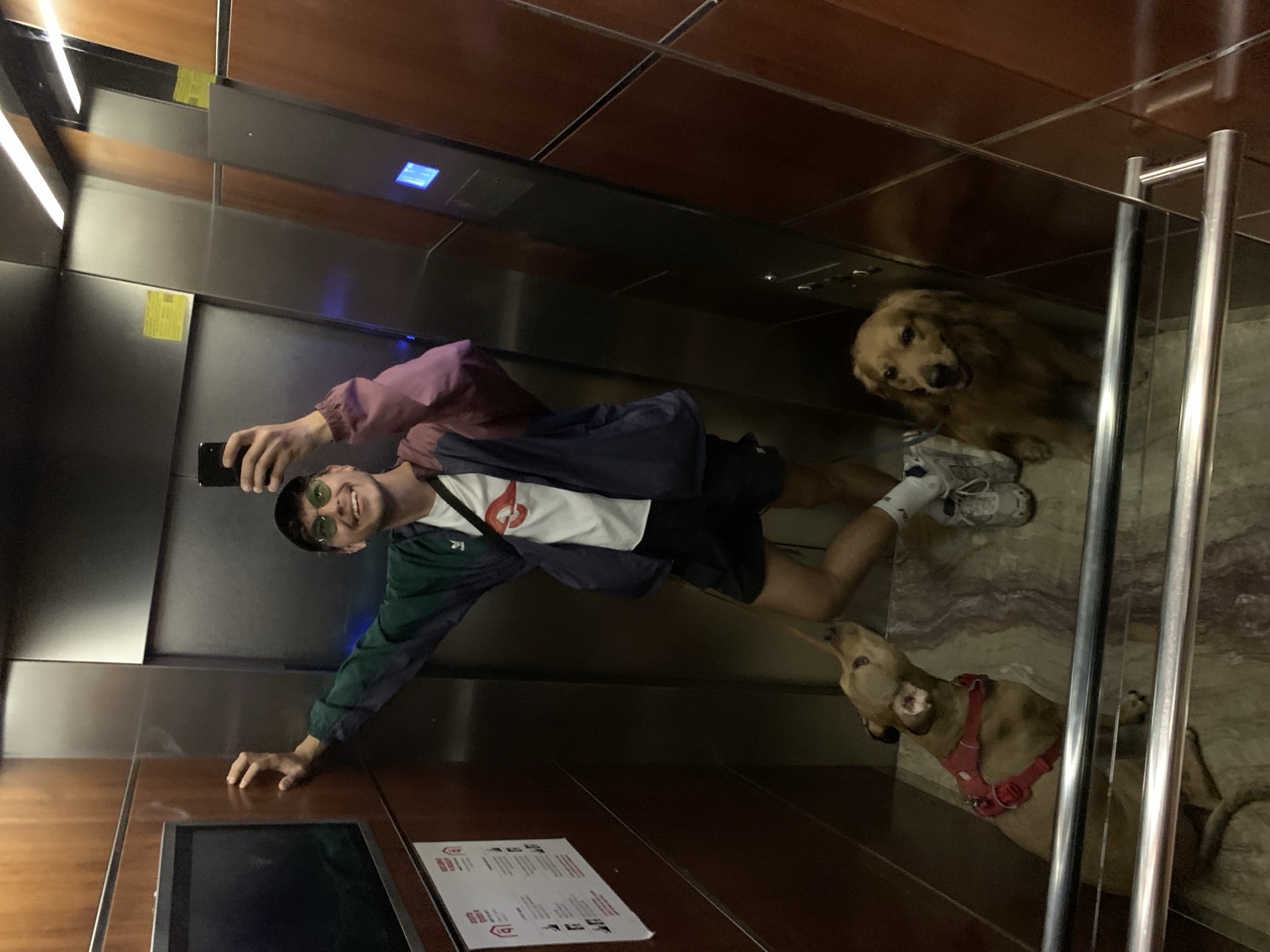 Tel Aviv residents document everyday moments with pets, street scenes