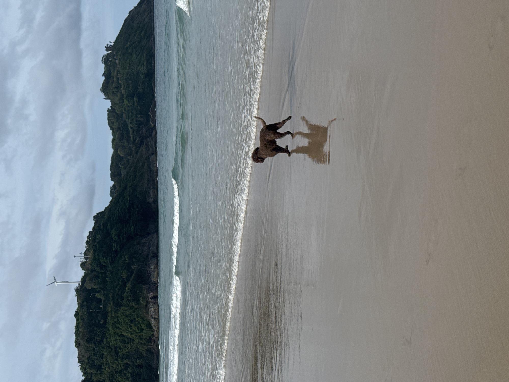 Early morning beach life documented at Rawai, Thailand