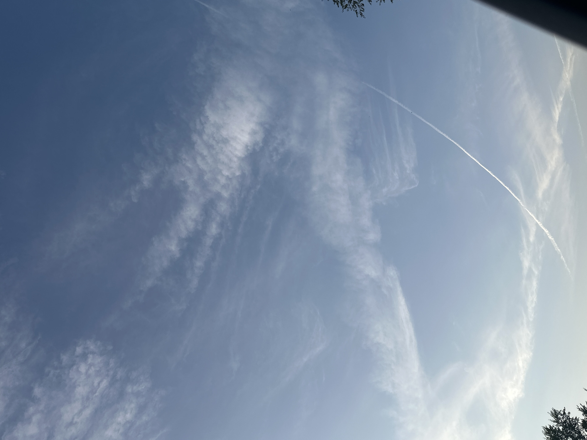 Afternoon sky fades to dusk, contrails to silhouettes