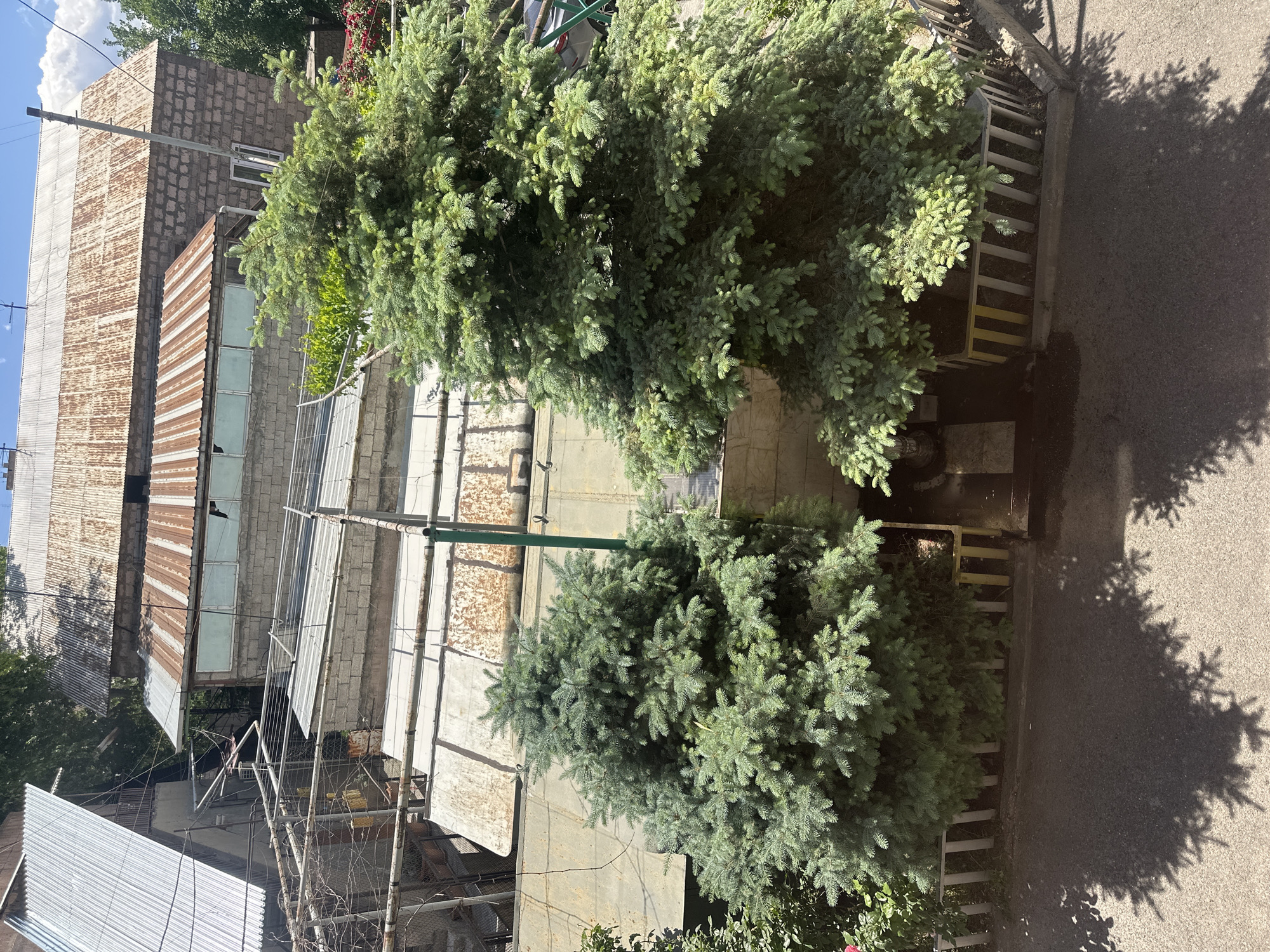 Daily life moments documented across Yerevan over morning hours