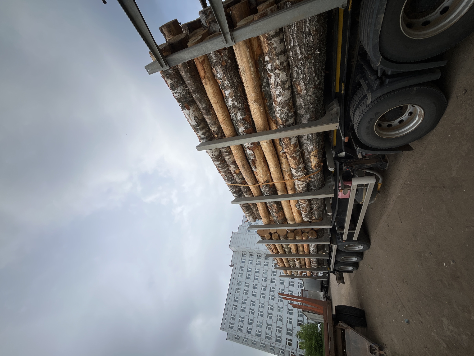 Morning scenes documented in Chaikovsky: logging truck, war memorial, dog
