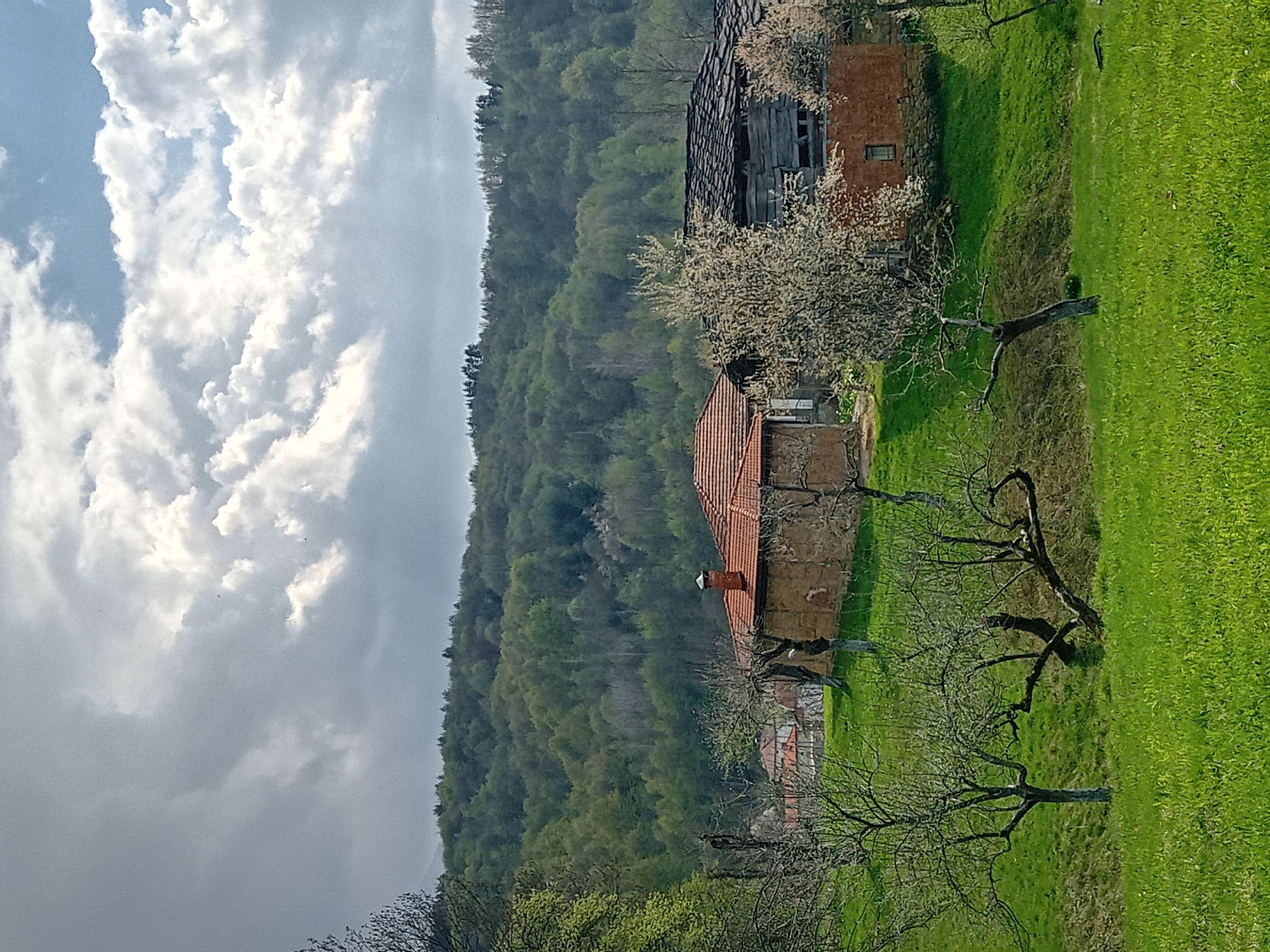 Rural village life documented through spring afternoon observations