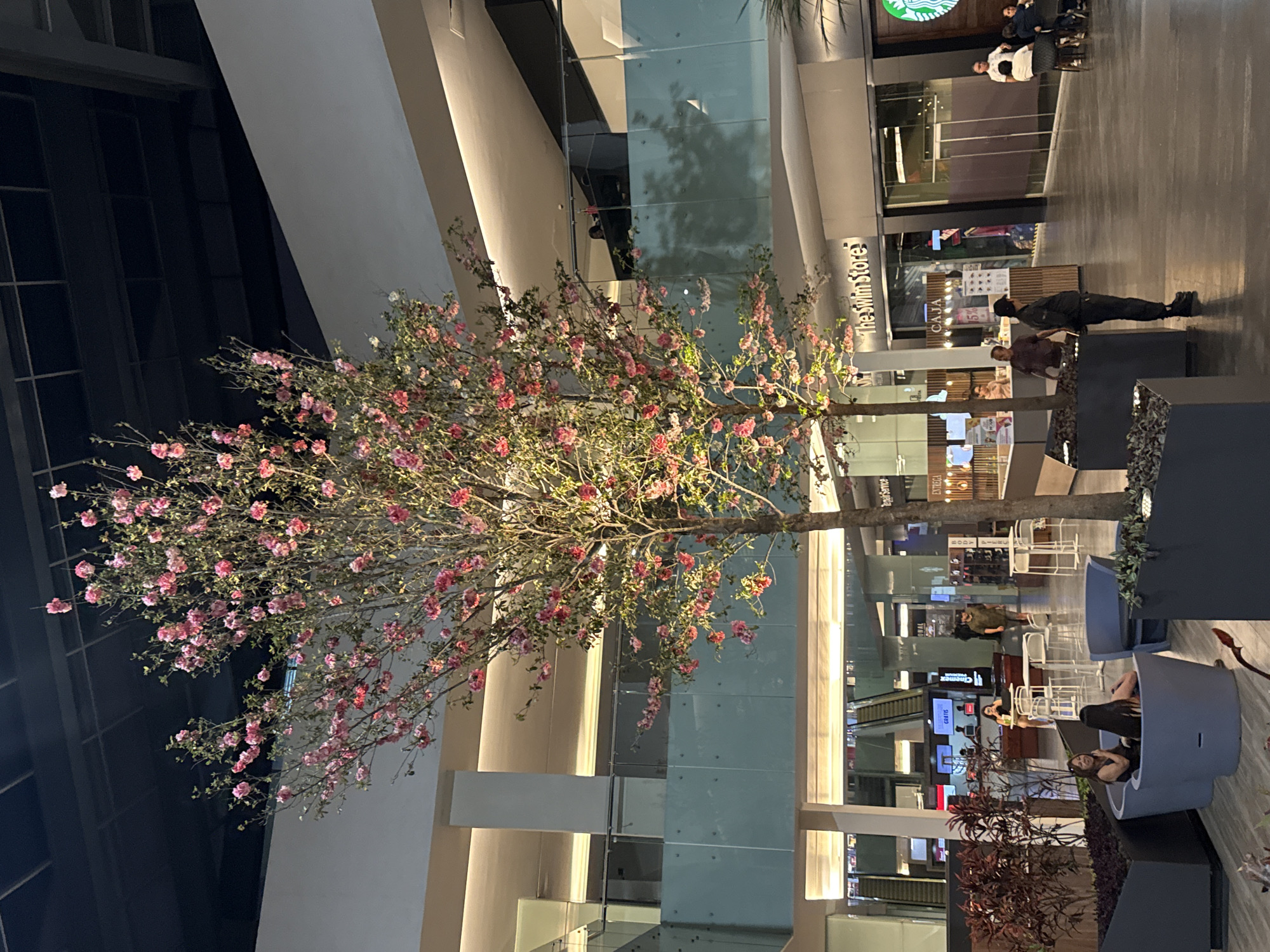 Early morning activities documented across Puebla shopping and fitness venues