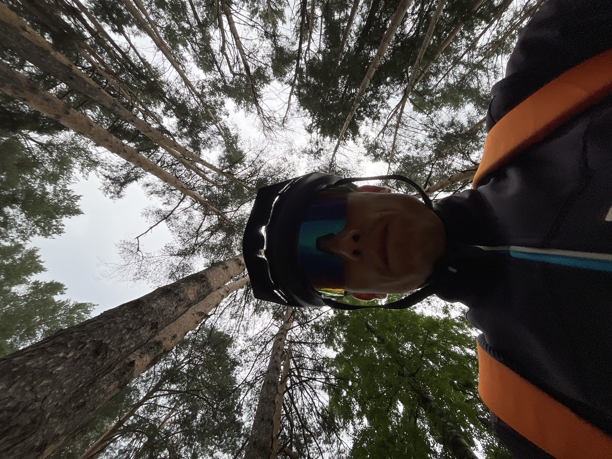 Morning forest cycling and nature photography in Chaikovsky