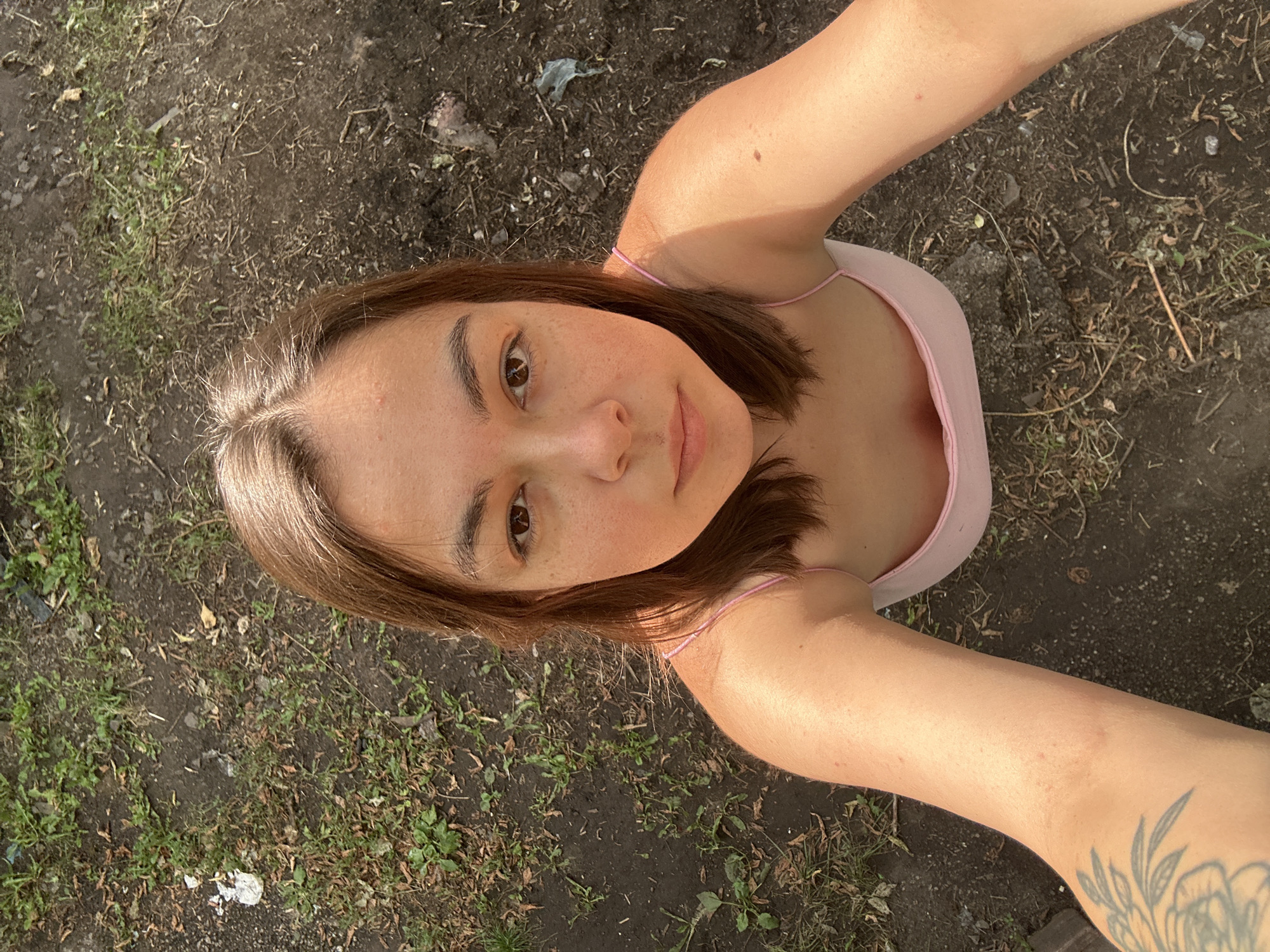 Backyard afternoon in Magnitogorsk: dogs, birch trees, and rustic surroundings