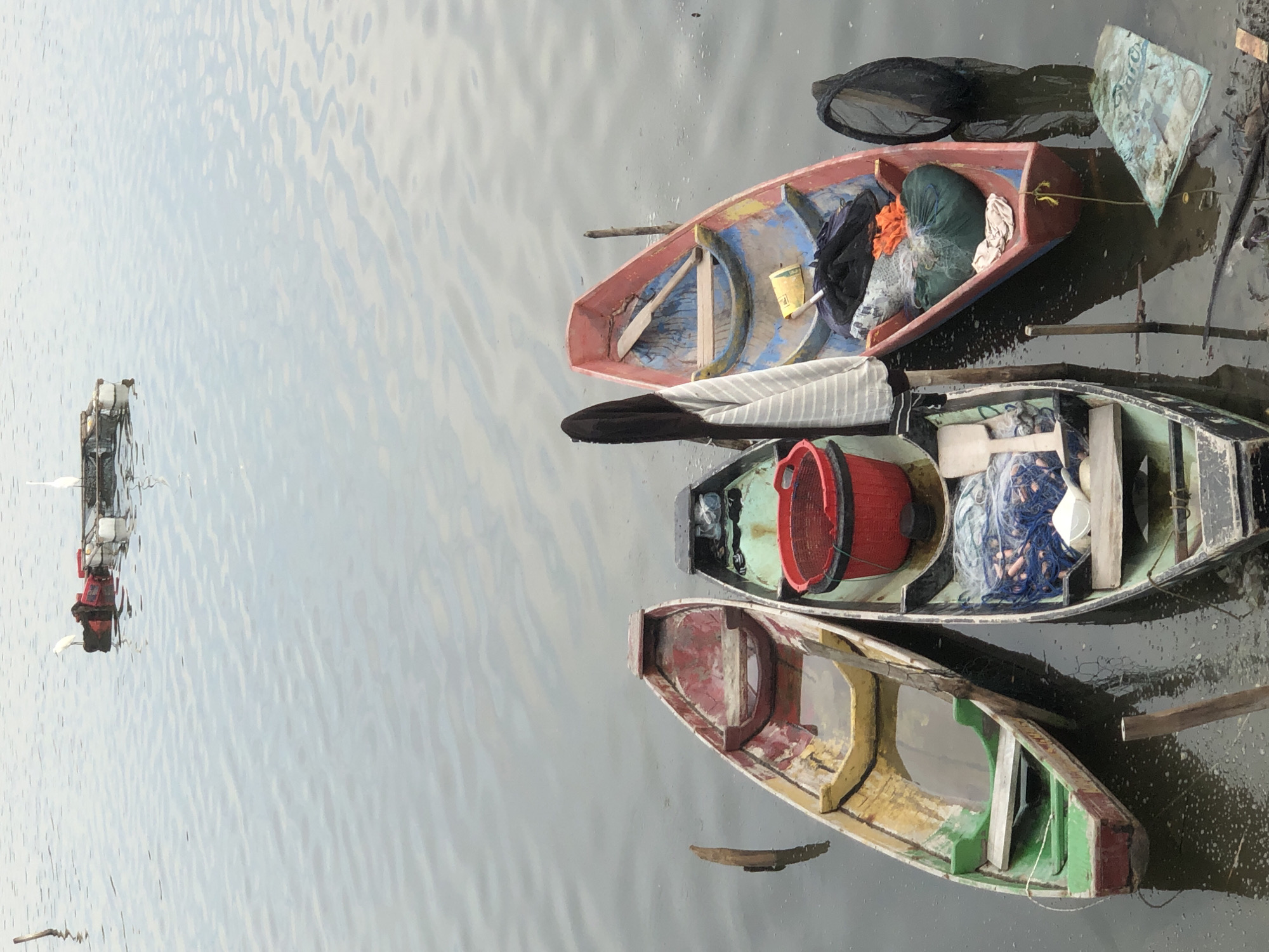 Egrets, fish cages, and boats on a Lhokseumawe waterfront