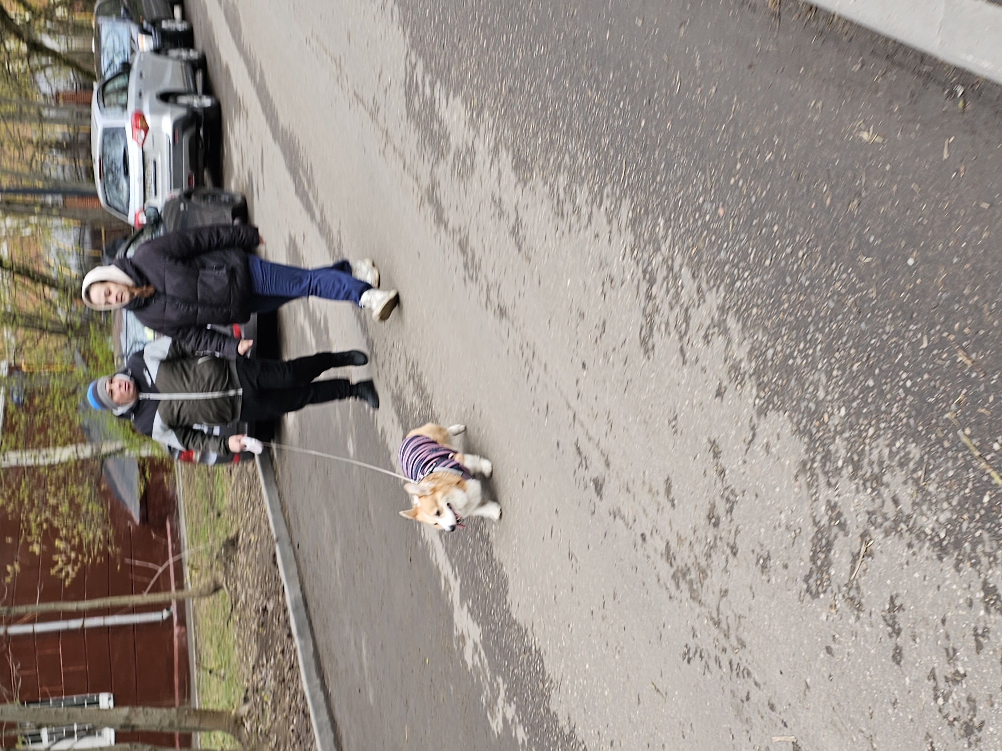 Spring morning life unfolds in Moscow residential neighborhood