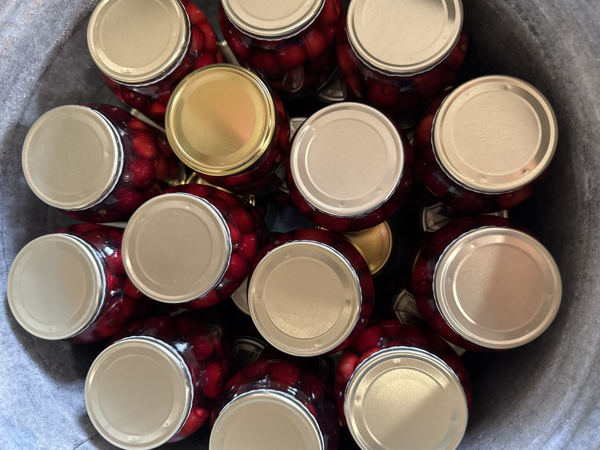 Cherry preserves being jarred up in Zornitsa, Bulgaria