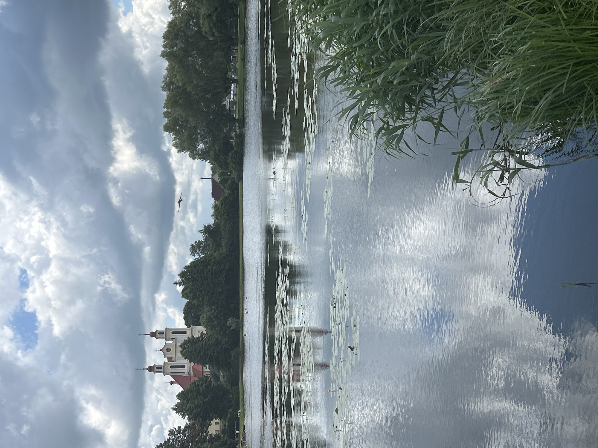 Quiet morning at a reed-lined lake in Iwye, Belarus