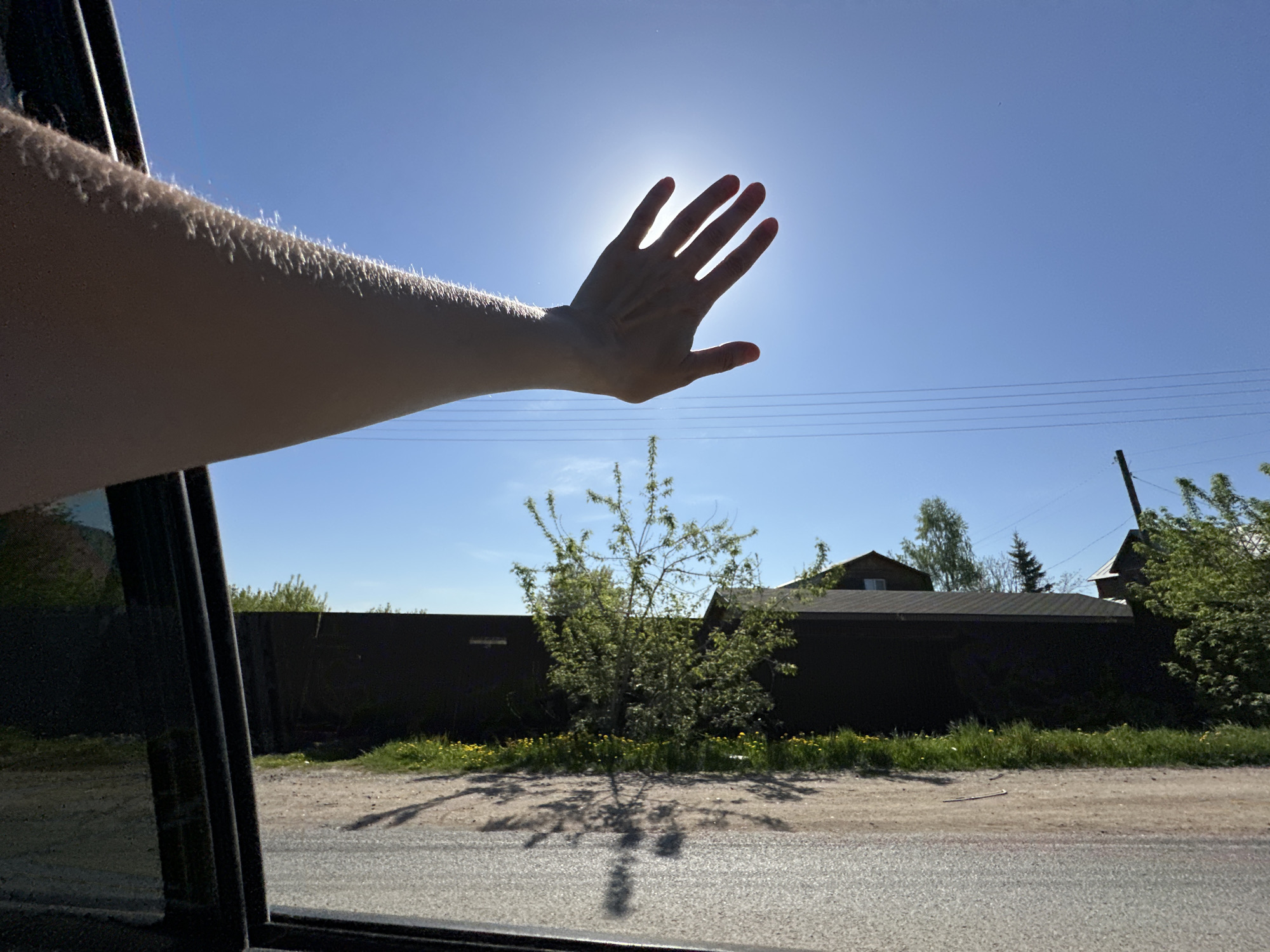 Hand reaches for morning sun from car window