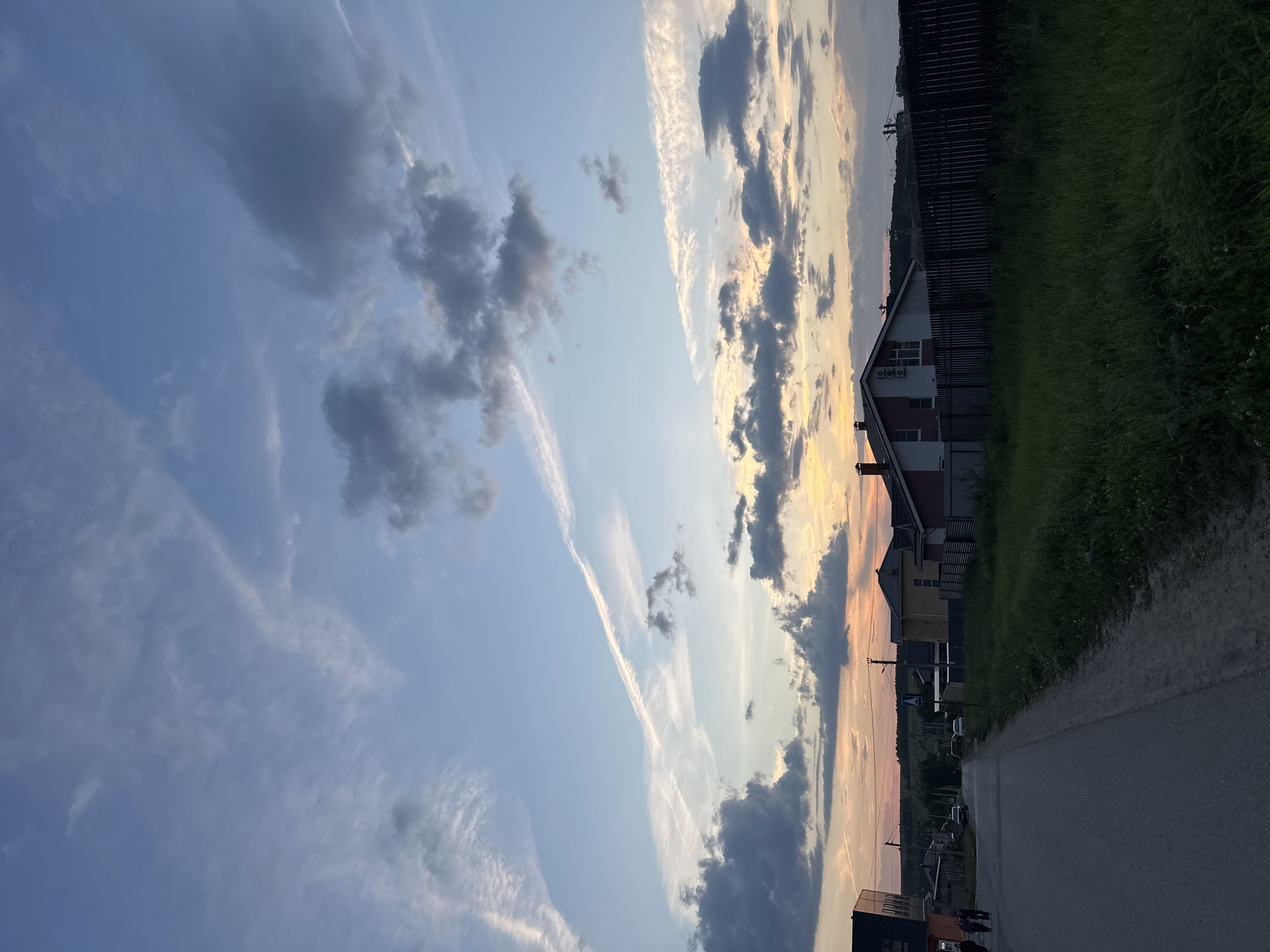 Evening stroll captures blooming peonies, twilight streets in Russian village
