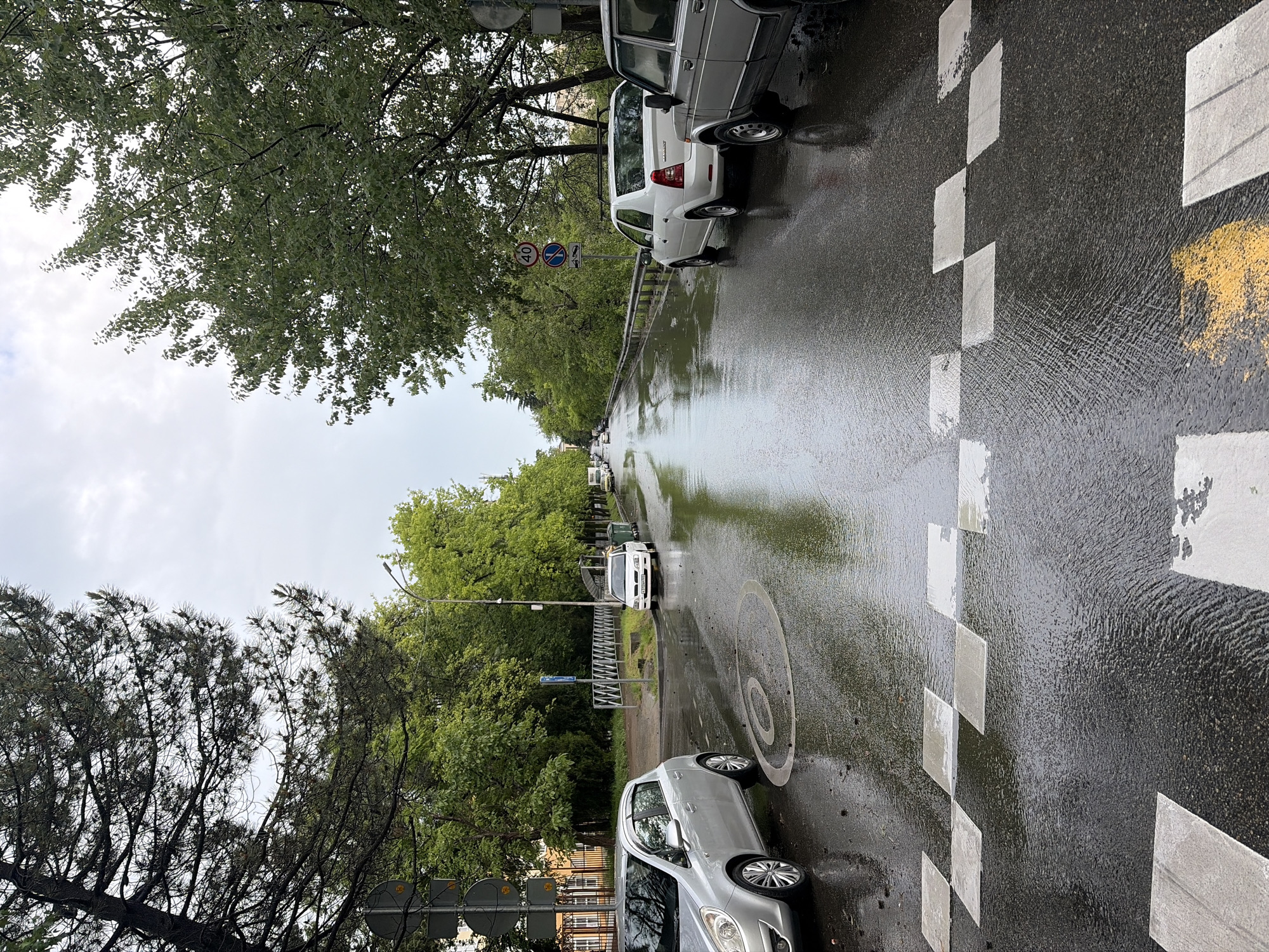 Post-rain morning scenes documented across Sochi, Russia