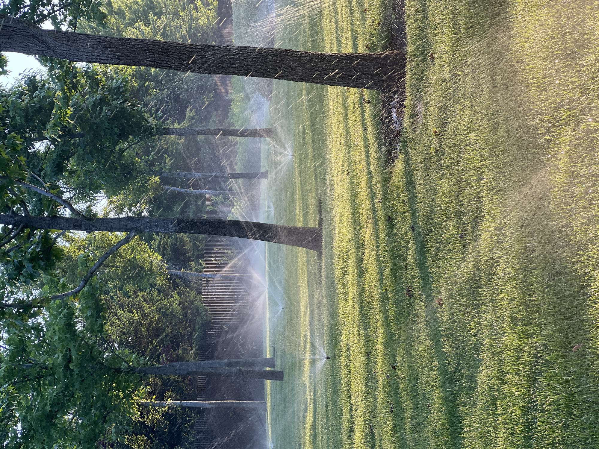 Park sprinklers water lawn during golden hour in Krasnodar