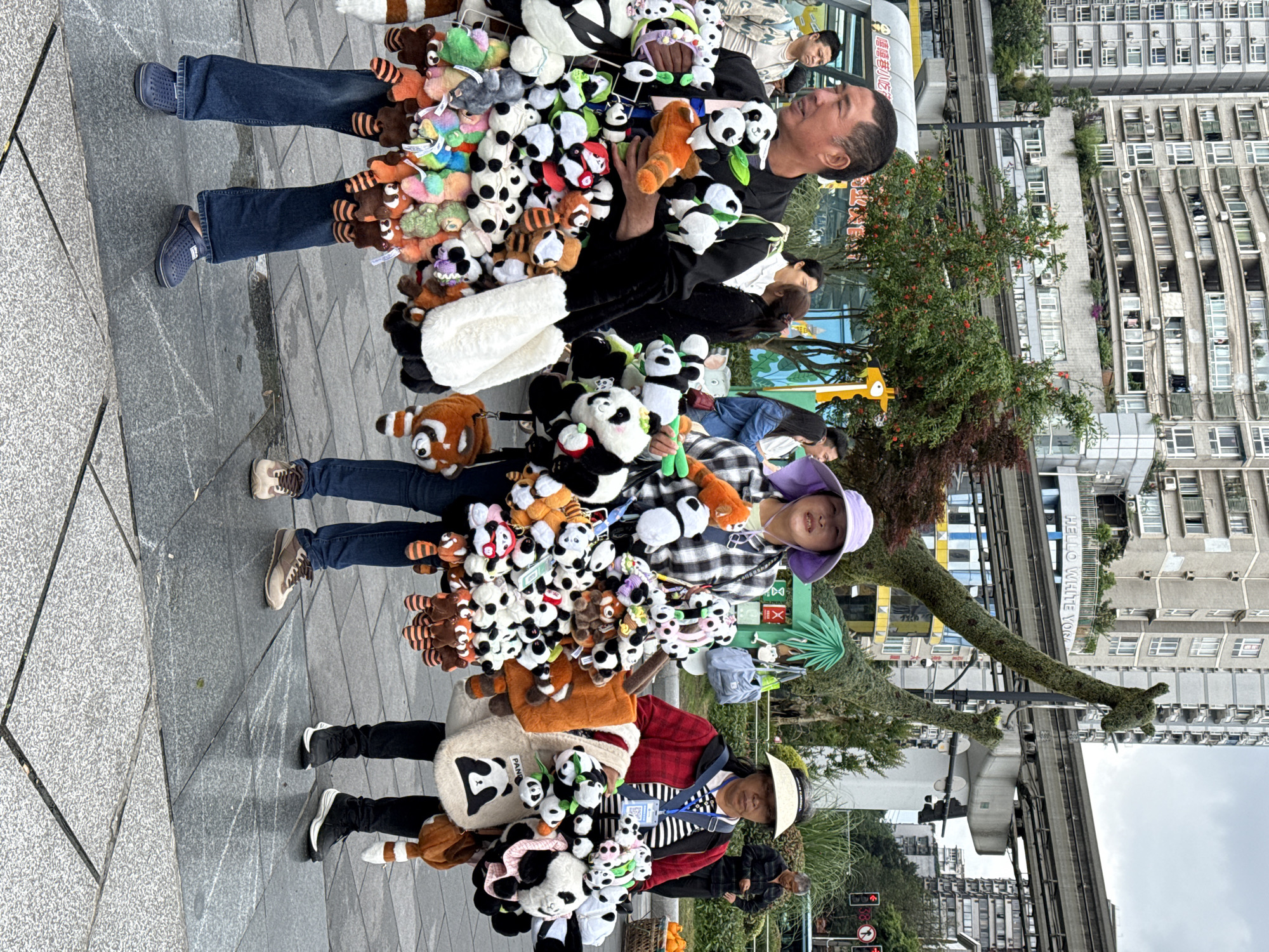 Morning street life observed in Jiulongpo District parks and streets