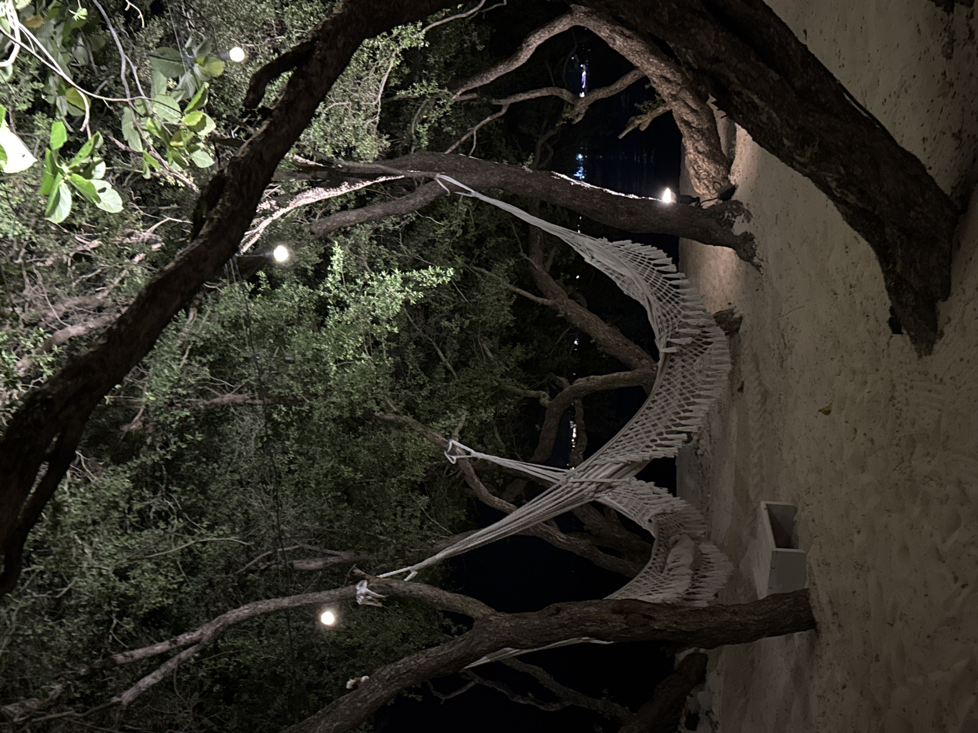 Nighttime entertainment scenes documented across Indonesia locations