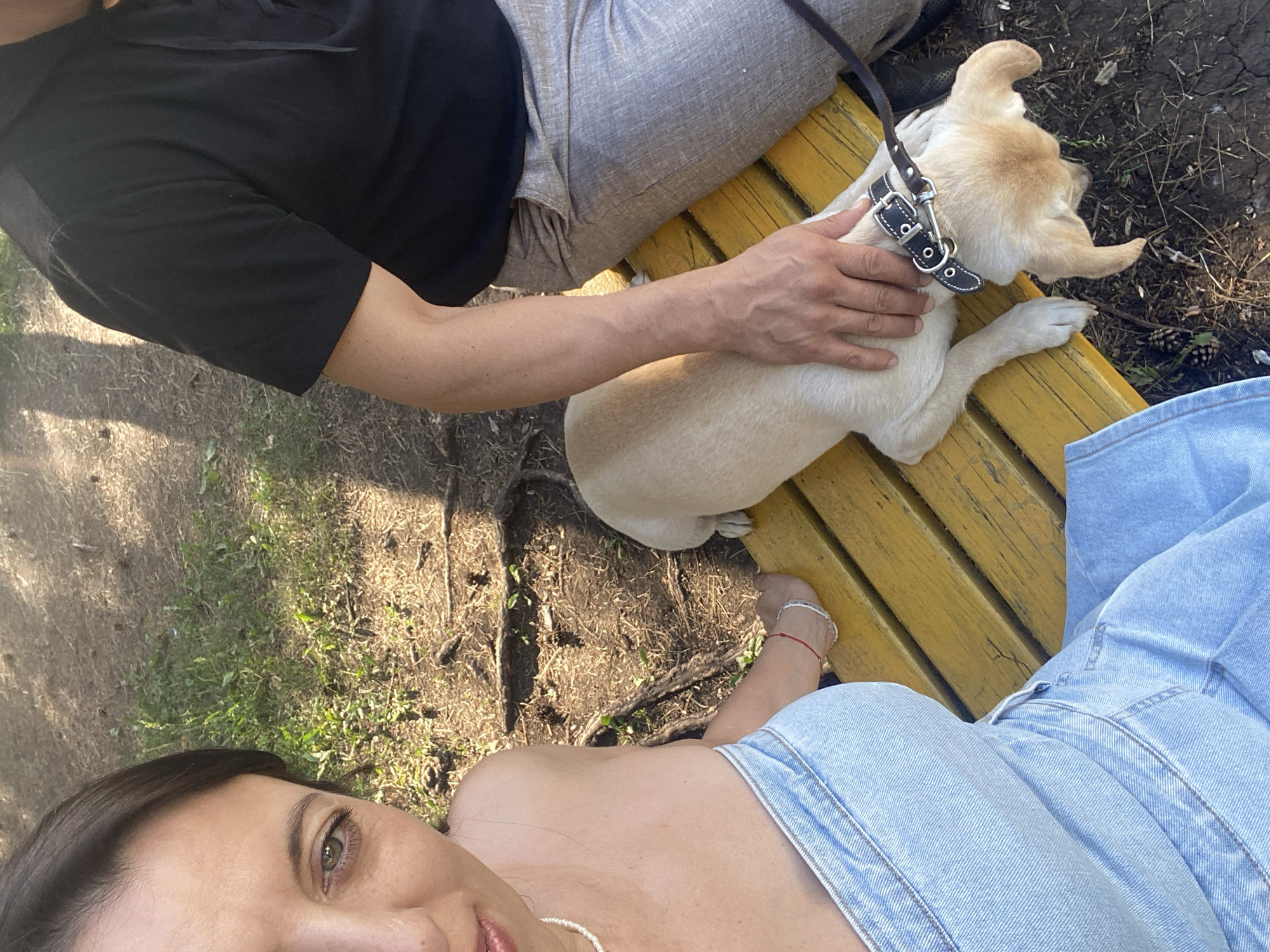 Lazy park afternoon in Tujmazy: benches, wildflowers, and a dog