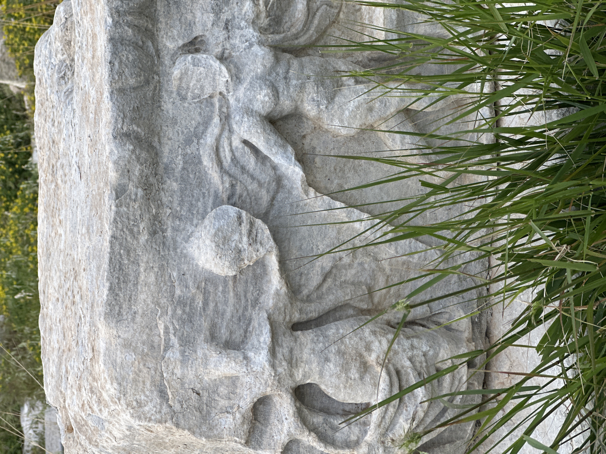 Ancient stone carvings documented in Datça, Turkey