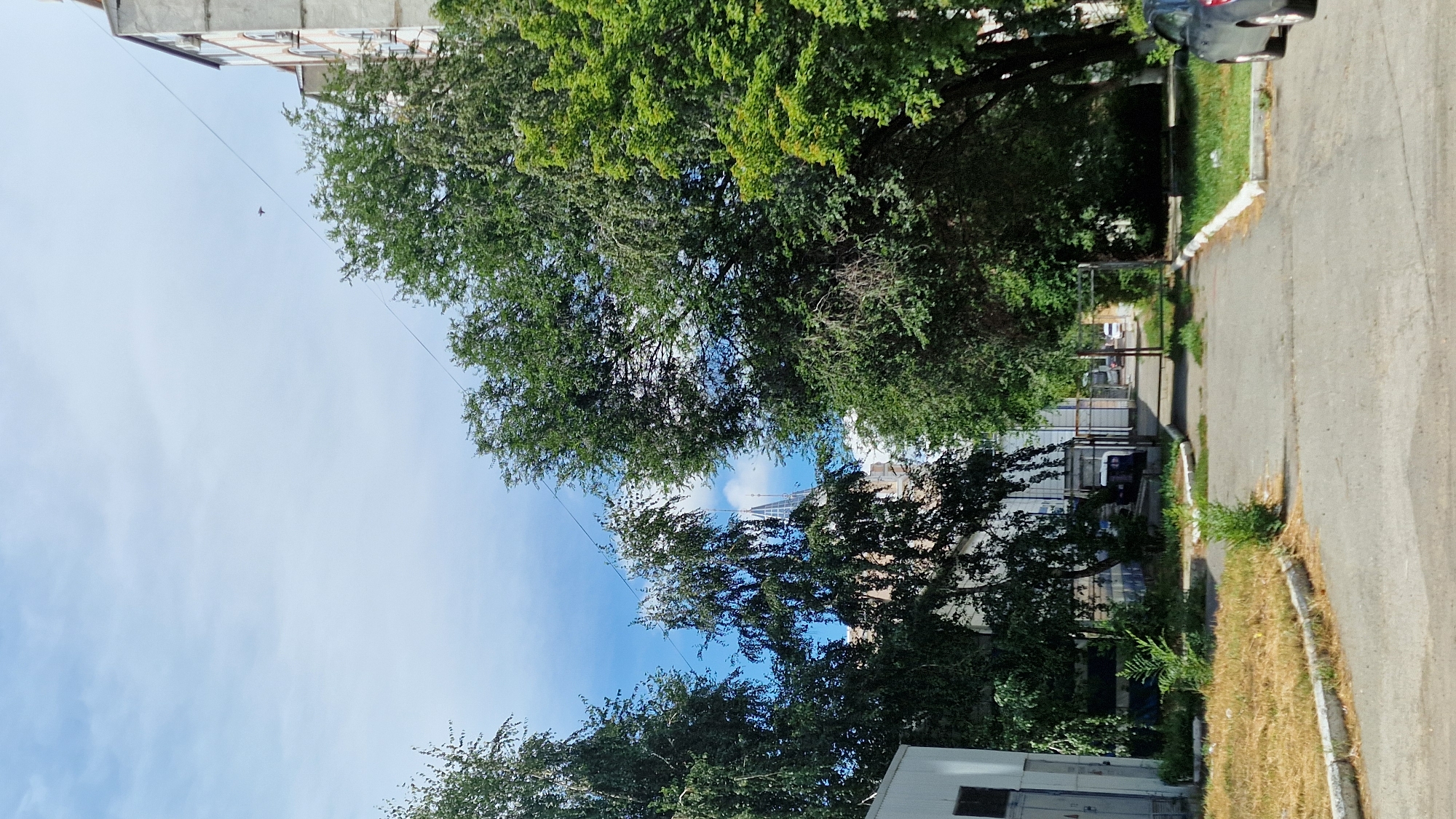 Street-level urban scenes across a Russian-speaking city on a July morning