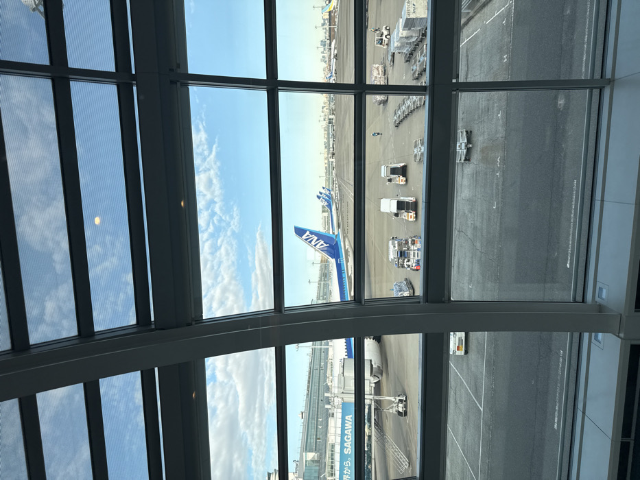 ANA aircraft operations observed at Ota airport tarmac