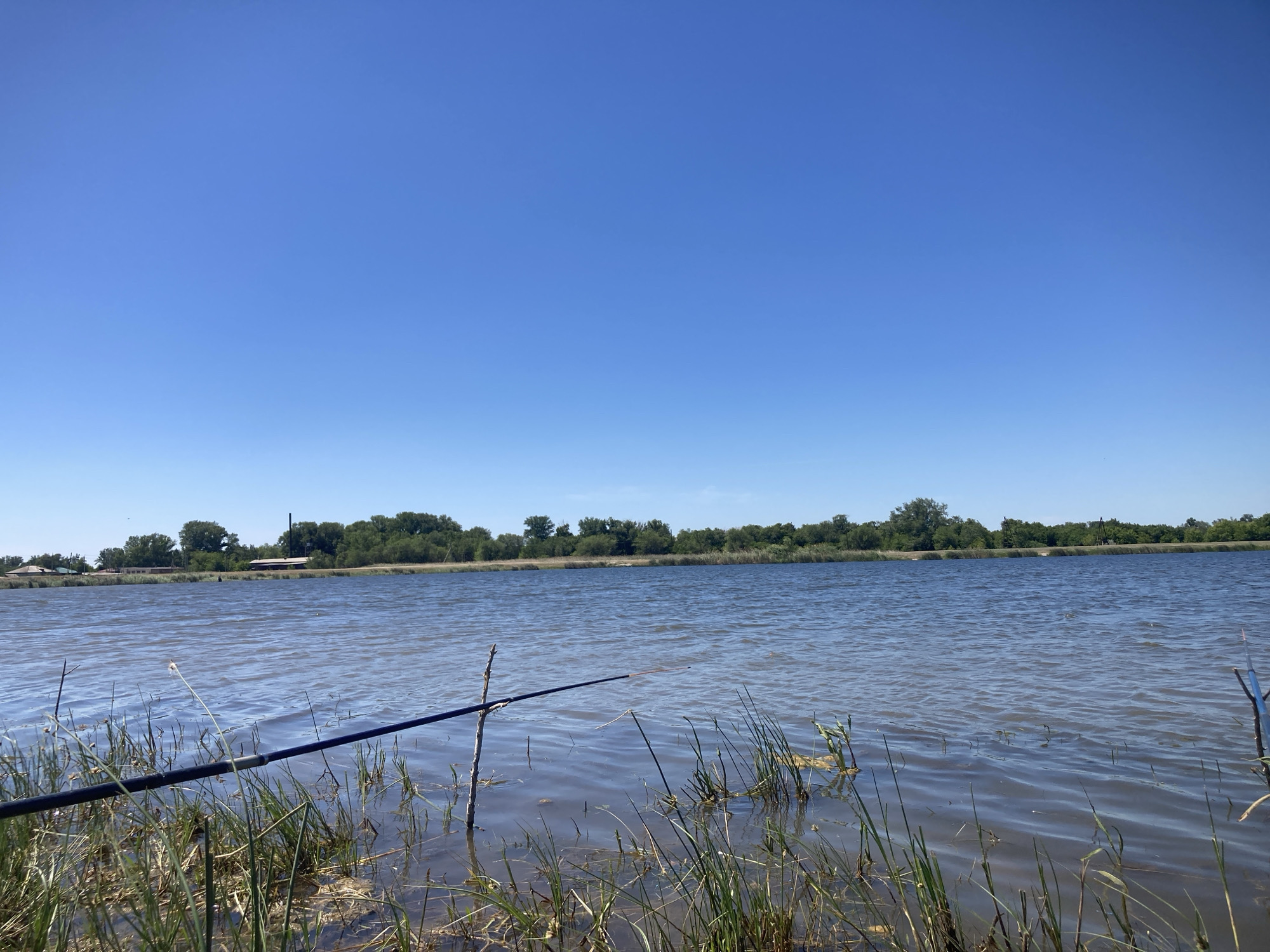 Fishing the reedy banks of a calm Russian lake on a clear morning