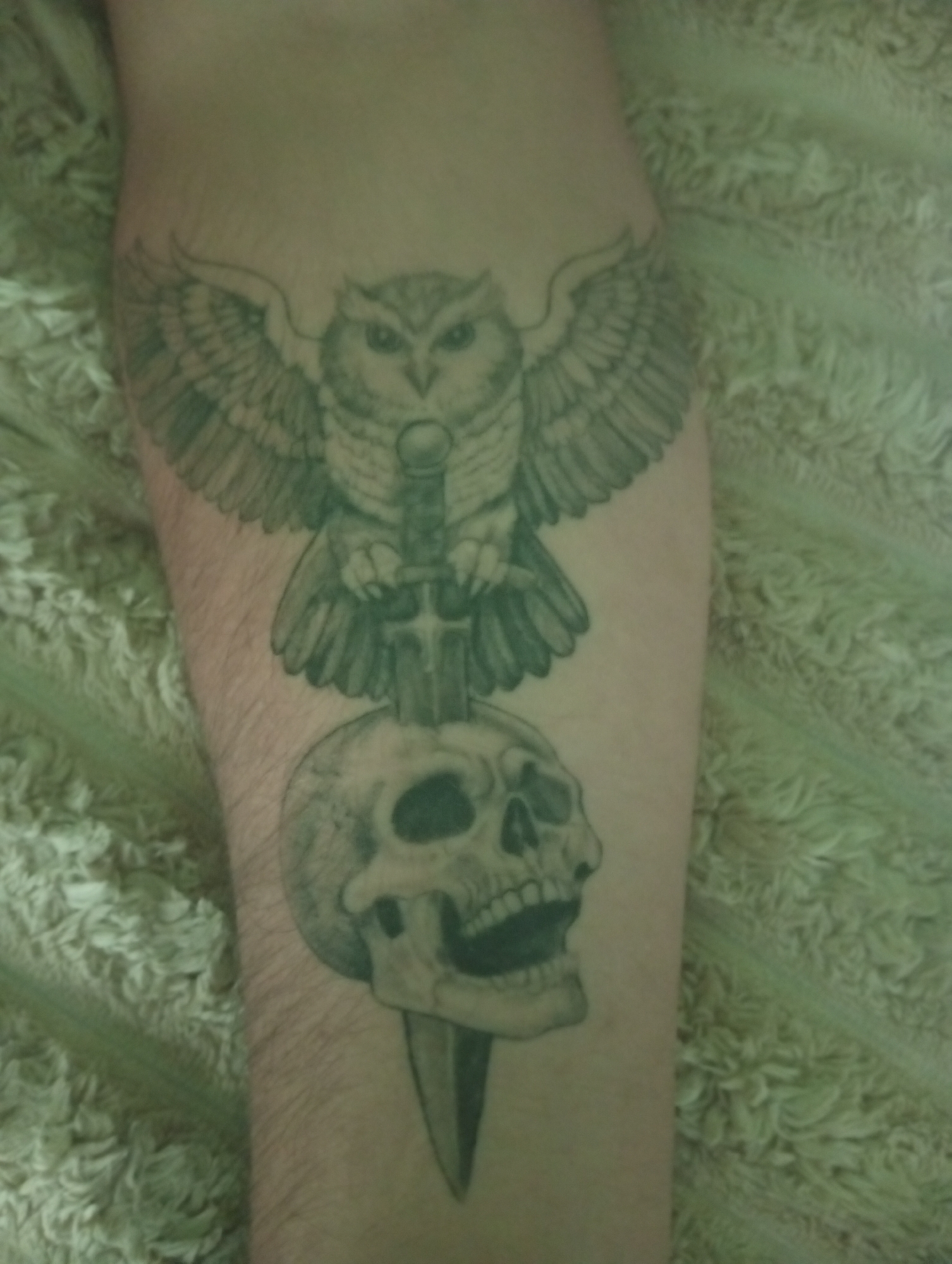 Owl, skull, and dagger tattoo close-up in Ukraine