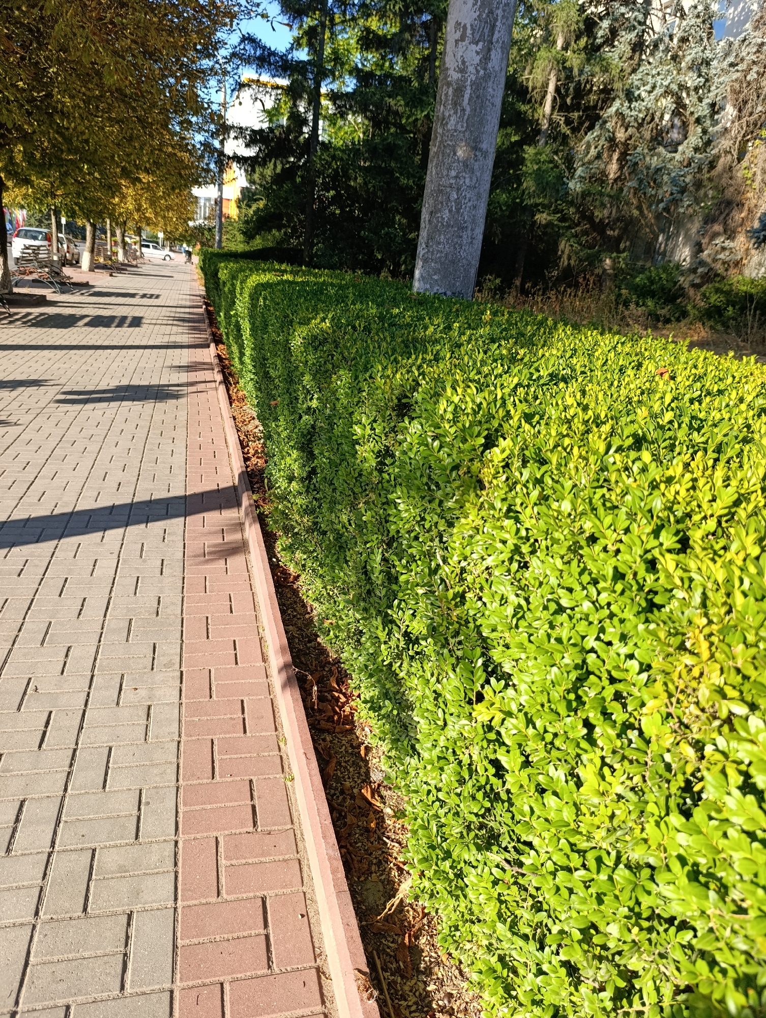 Grounds and exterior of Dubăsari town council, Moldova