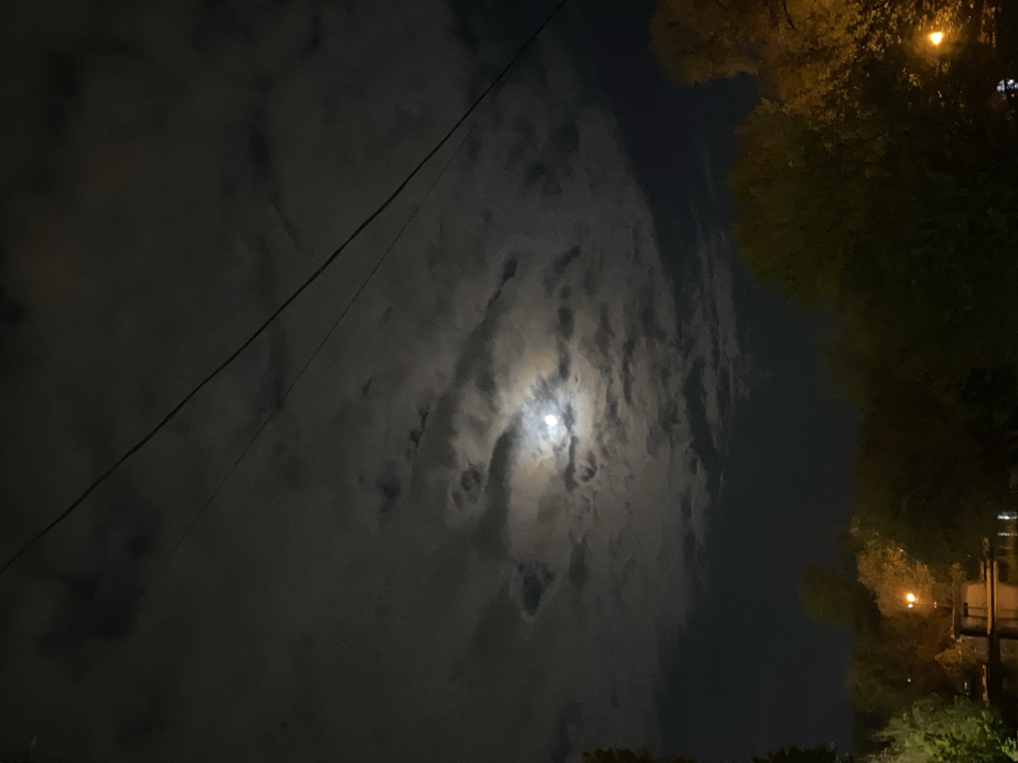 Nighttime sky and geese observed near water body
