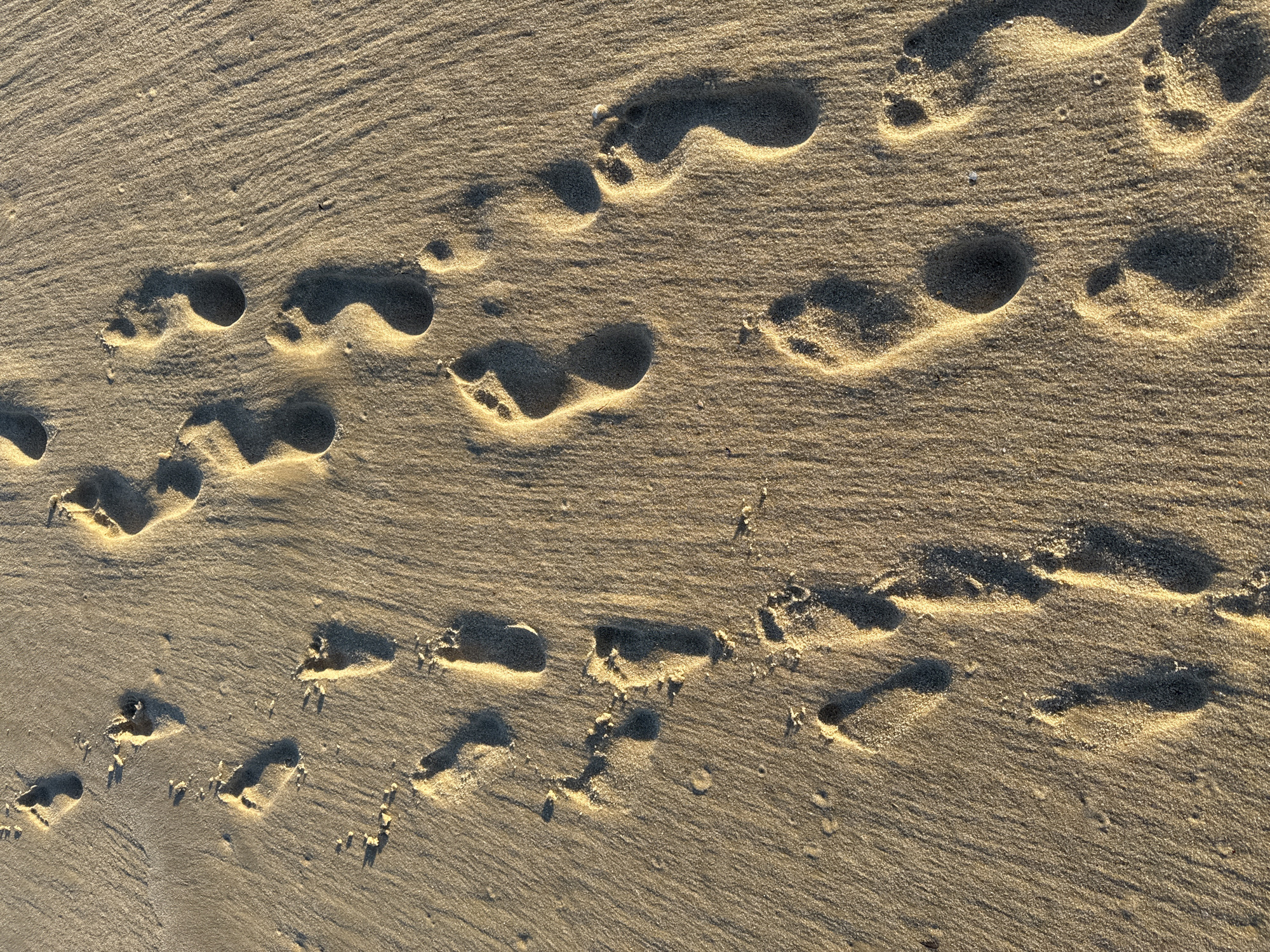 Late afternoon walk on a Niterói beach, footprints in wet sand.