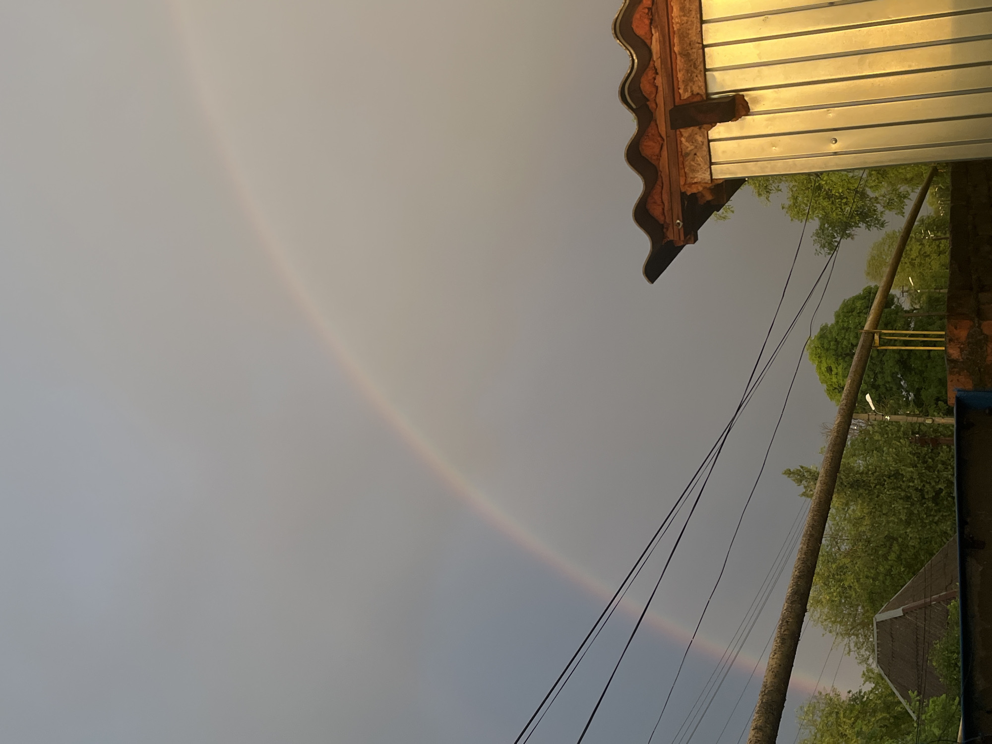 Double rainbow evening, sleeping bulldog, and glowing flamingos