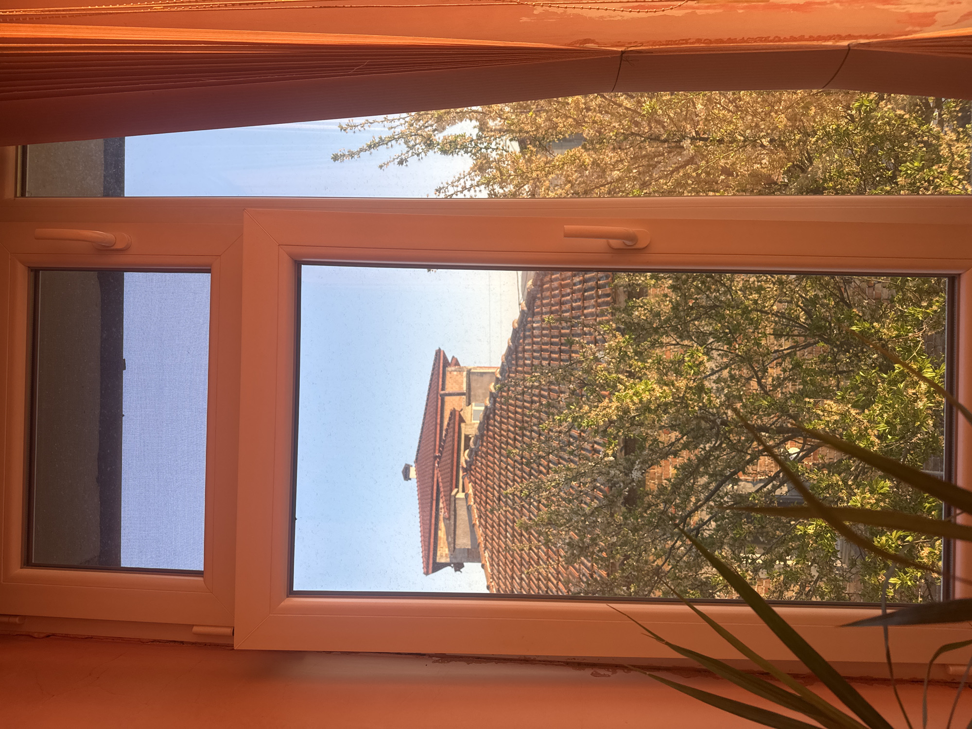 Interior window view documented in Burgas, Bulgaria