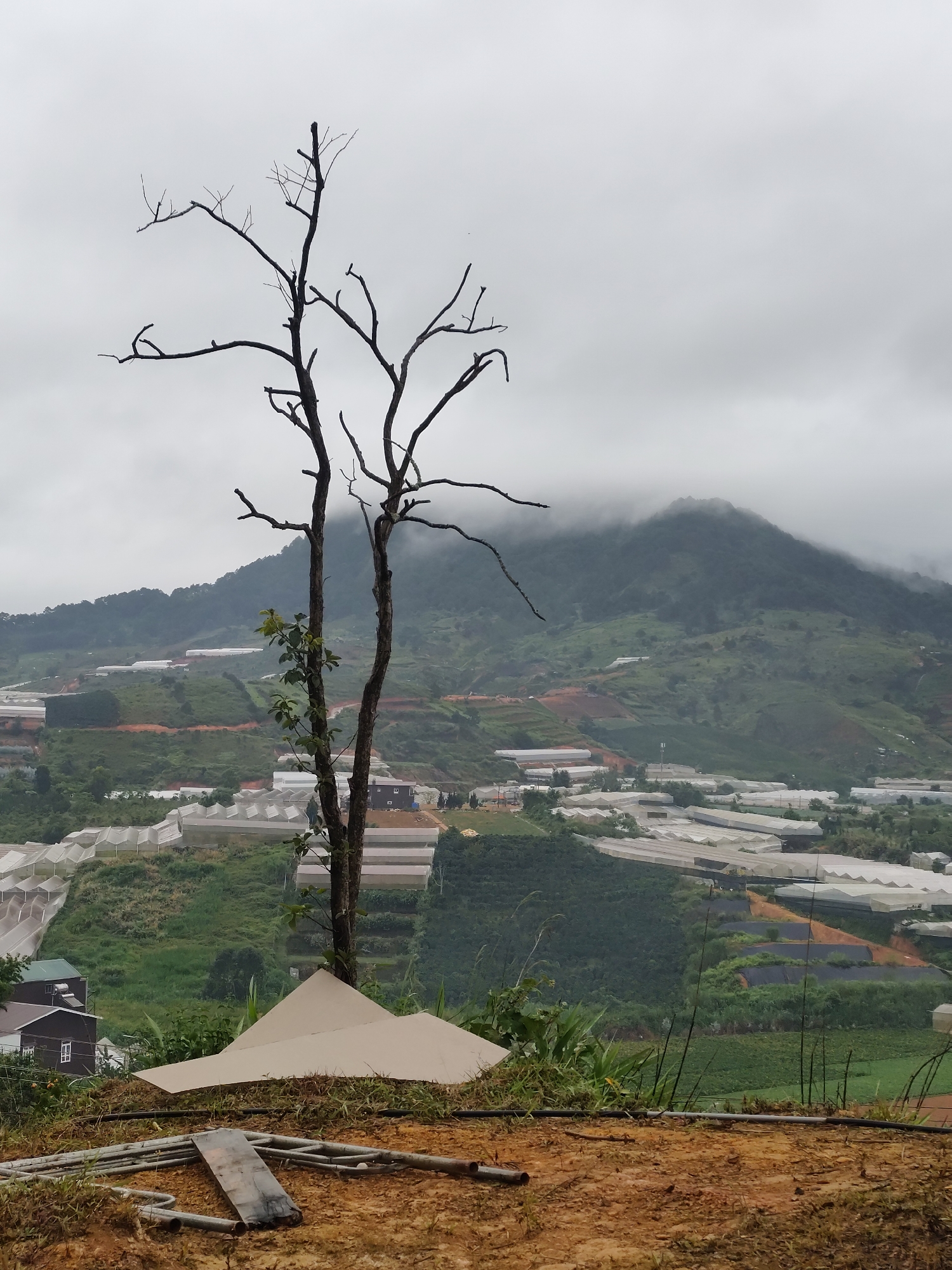 Lạc Dương highland town on a misty July morning