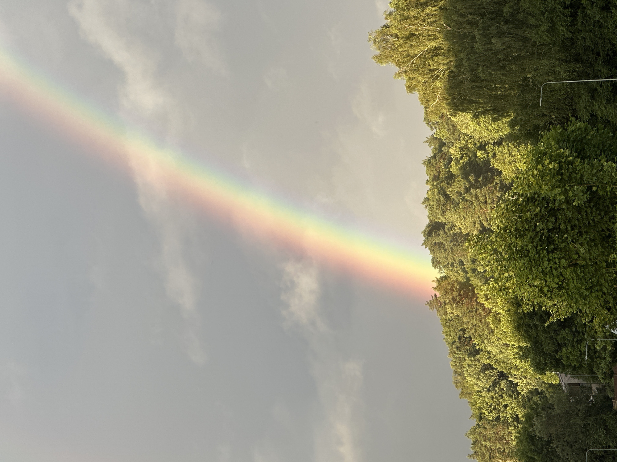 Double rainbow over a forested hillside in Vilnius