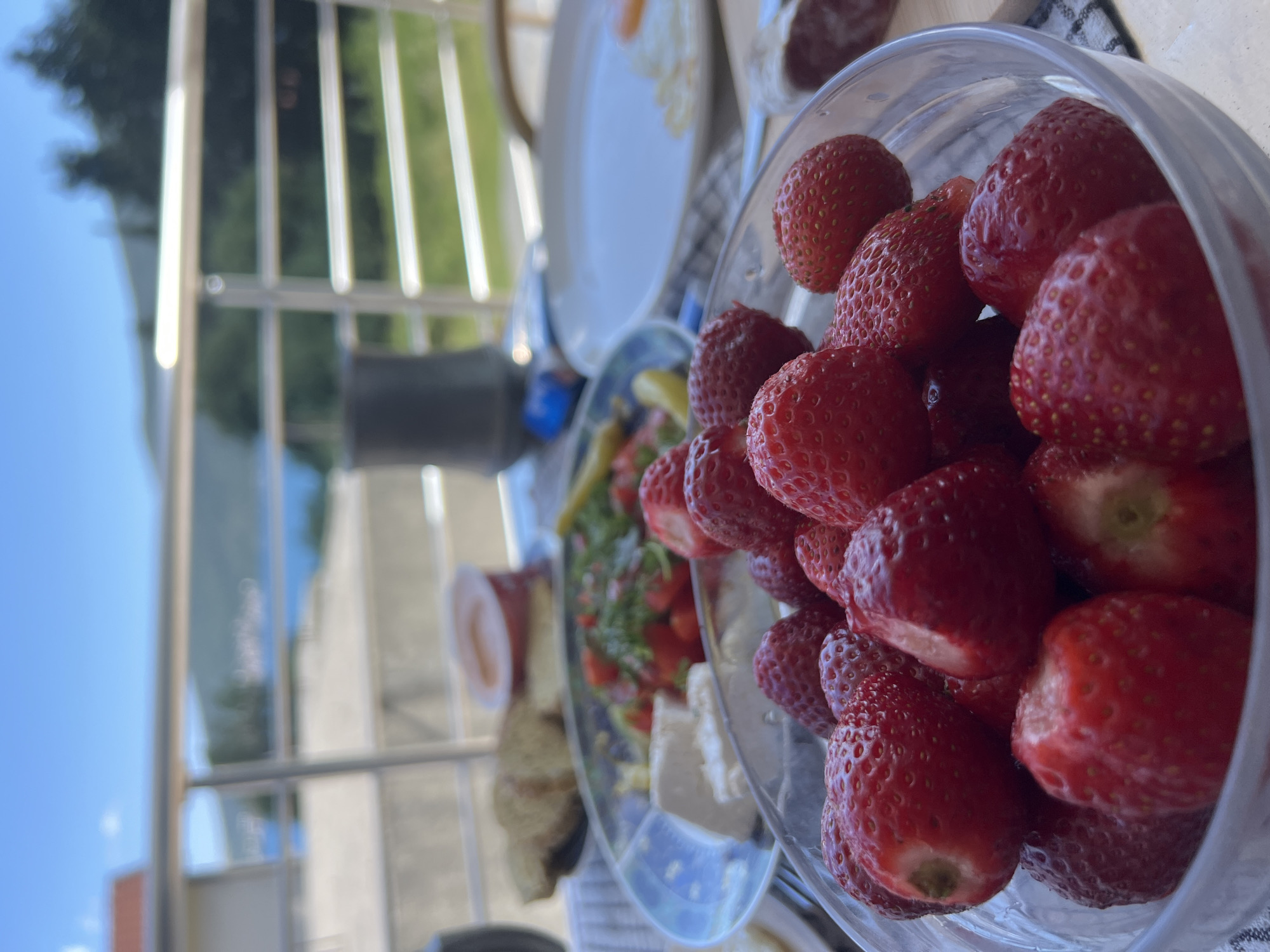 Rural breakfast and goat grazing documented in Montenegro