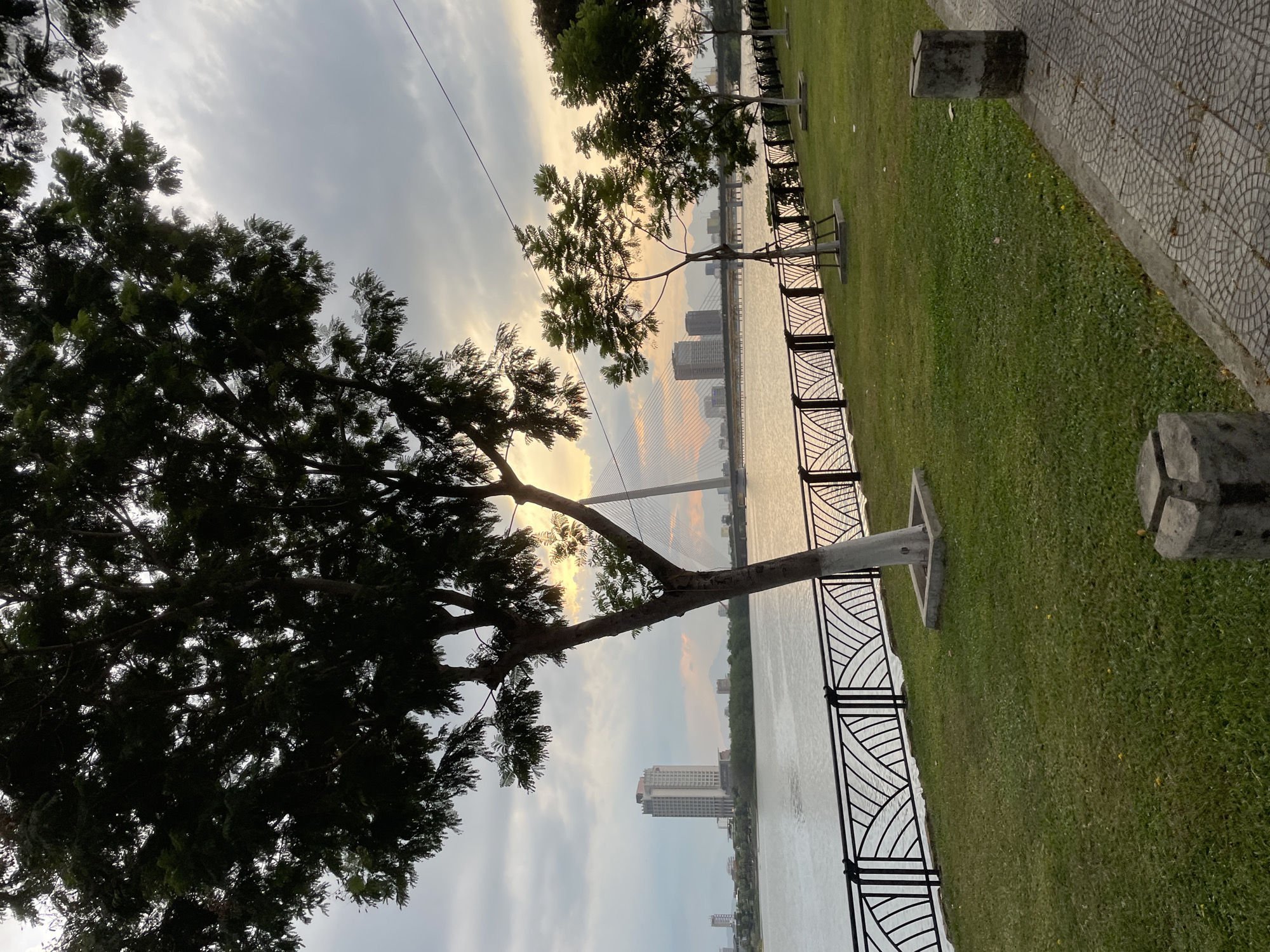 Strolling Da Nang's Han River waterfront on a June morning