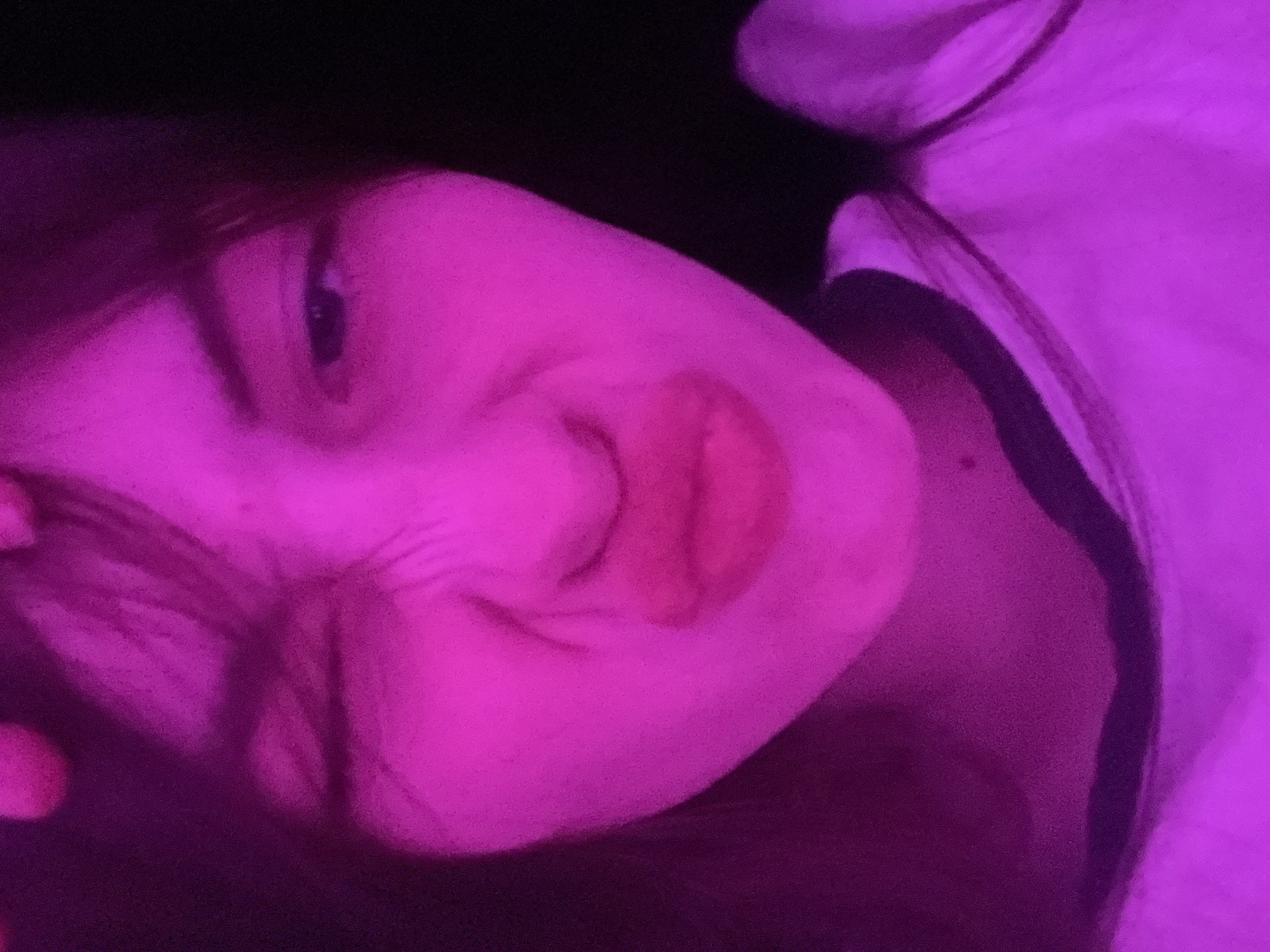 Purple-lit evening documented through selfies and cat moments in Saint Petersburg