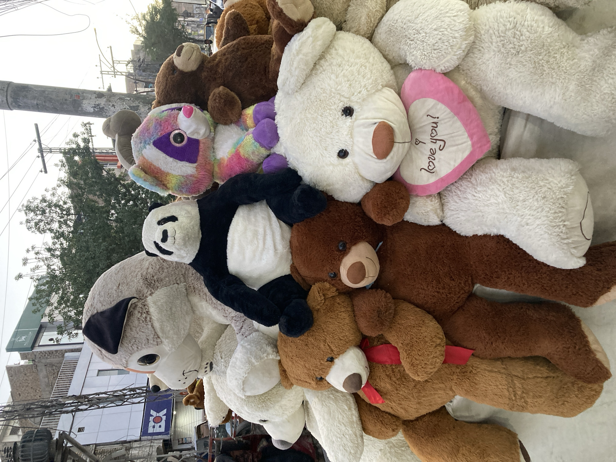 Stuffed animals displayed in Quetta City Tehsil, Pakistan