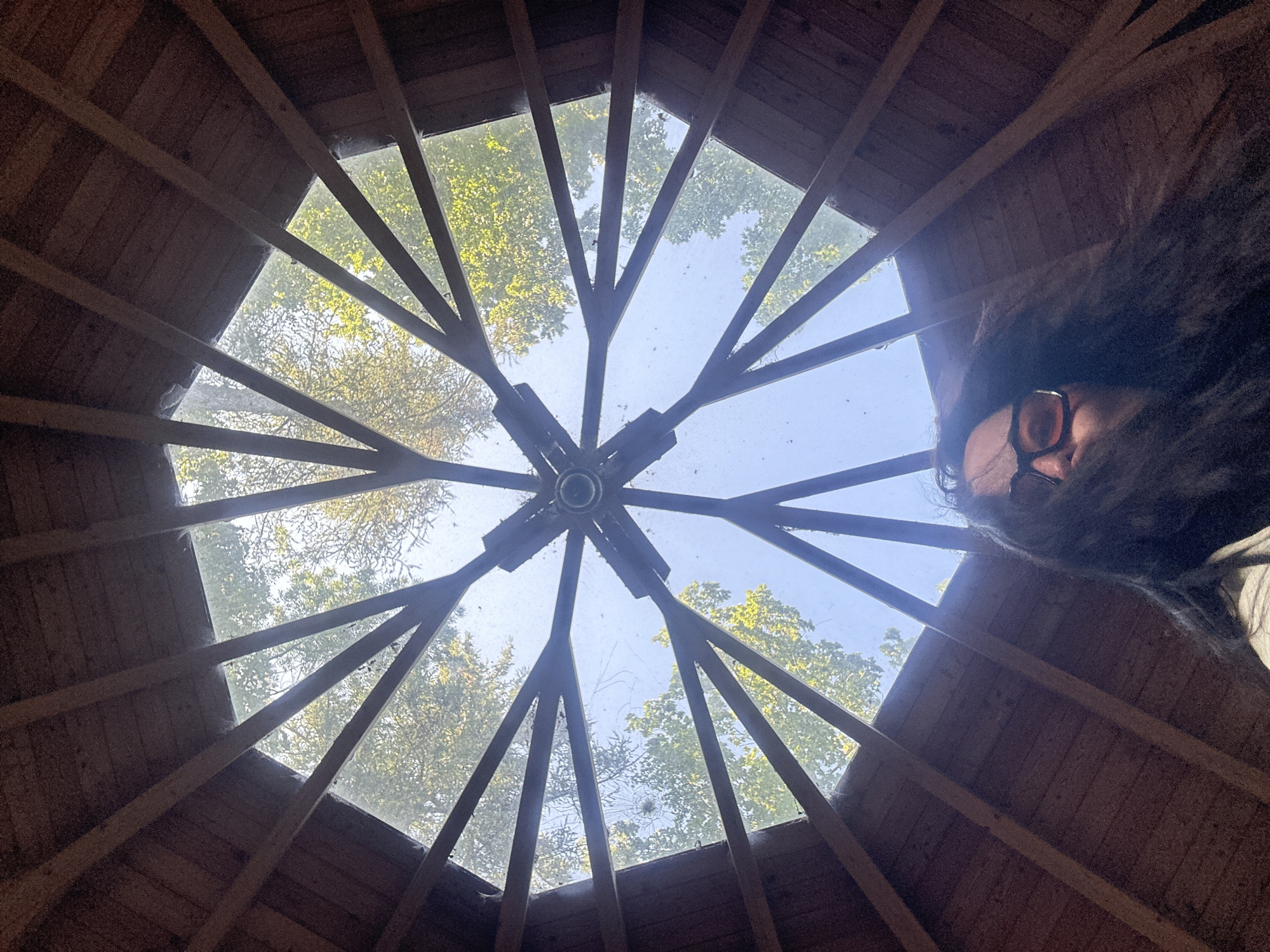 Afternoon stop at a sun-dappled woodland pavilion in Günzburg