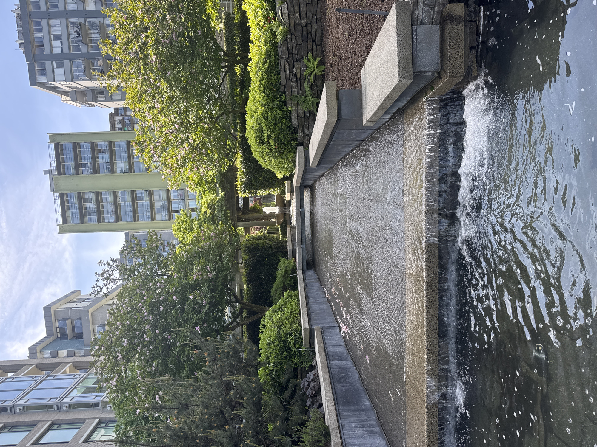 Vancouver garden features documented during evening visit