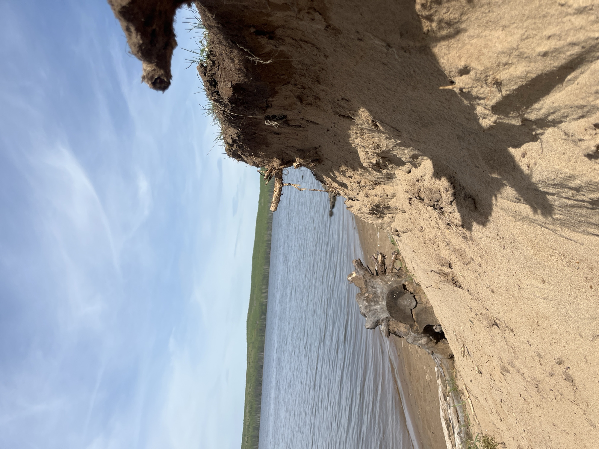 Couple enjoys lakeside outing with dog in Chaikovsky, Russia