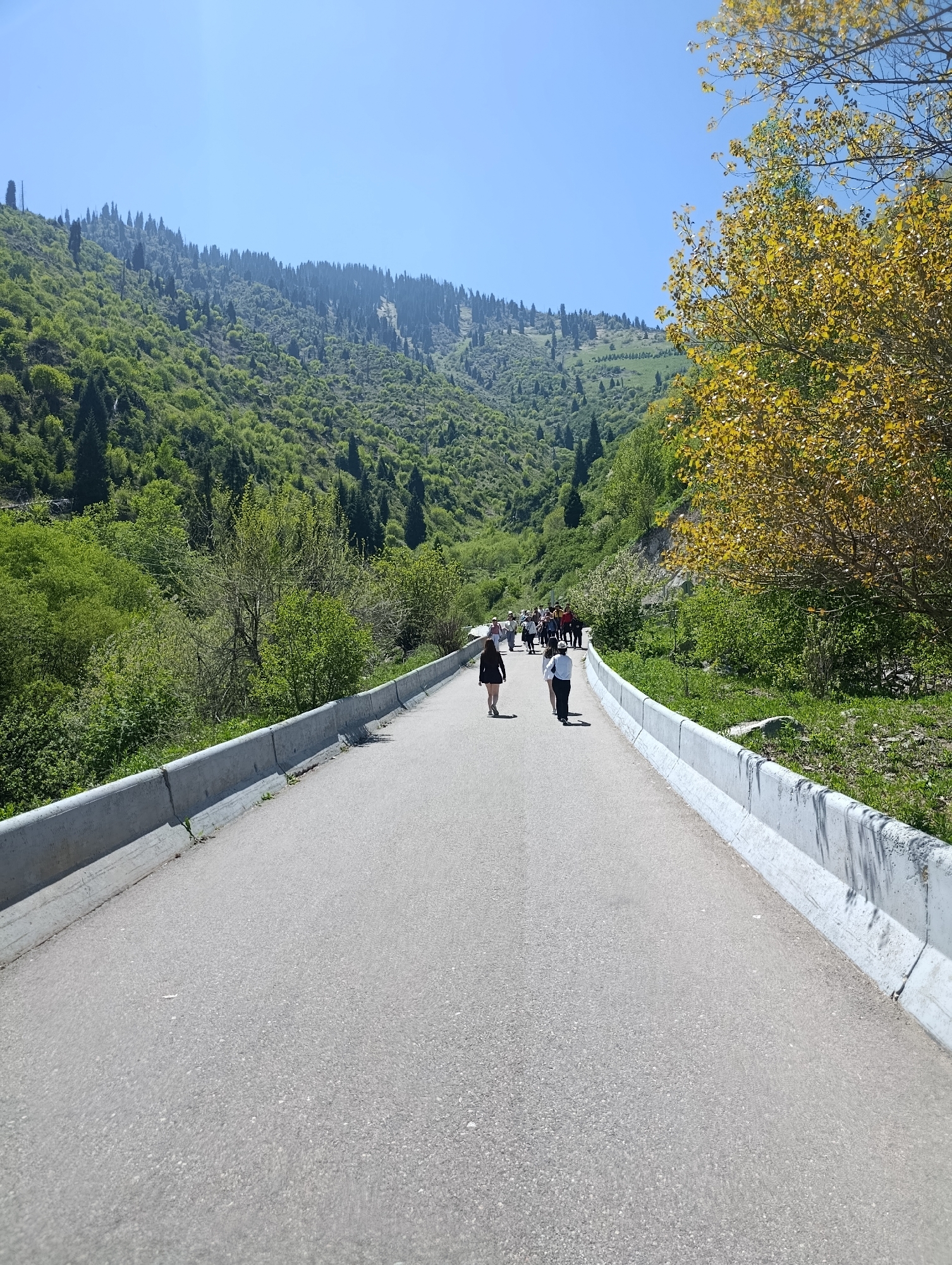 Group walks mountain road near streams in Almaty valley