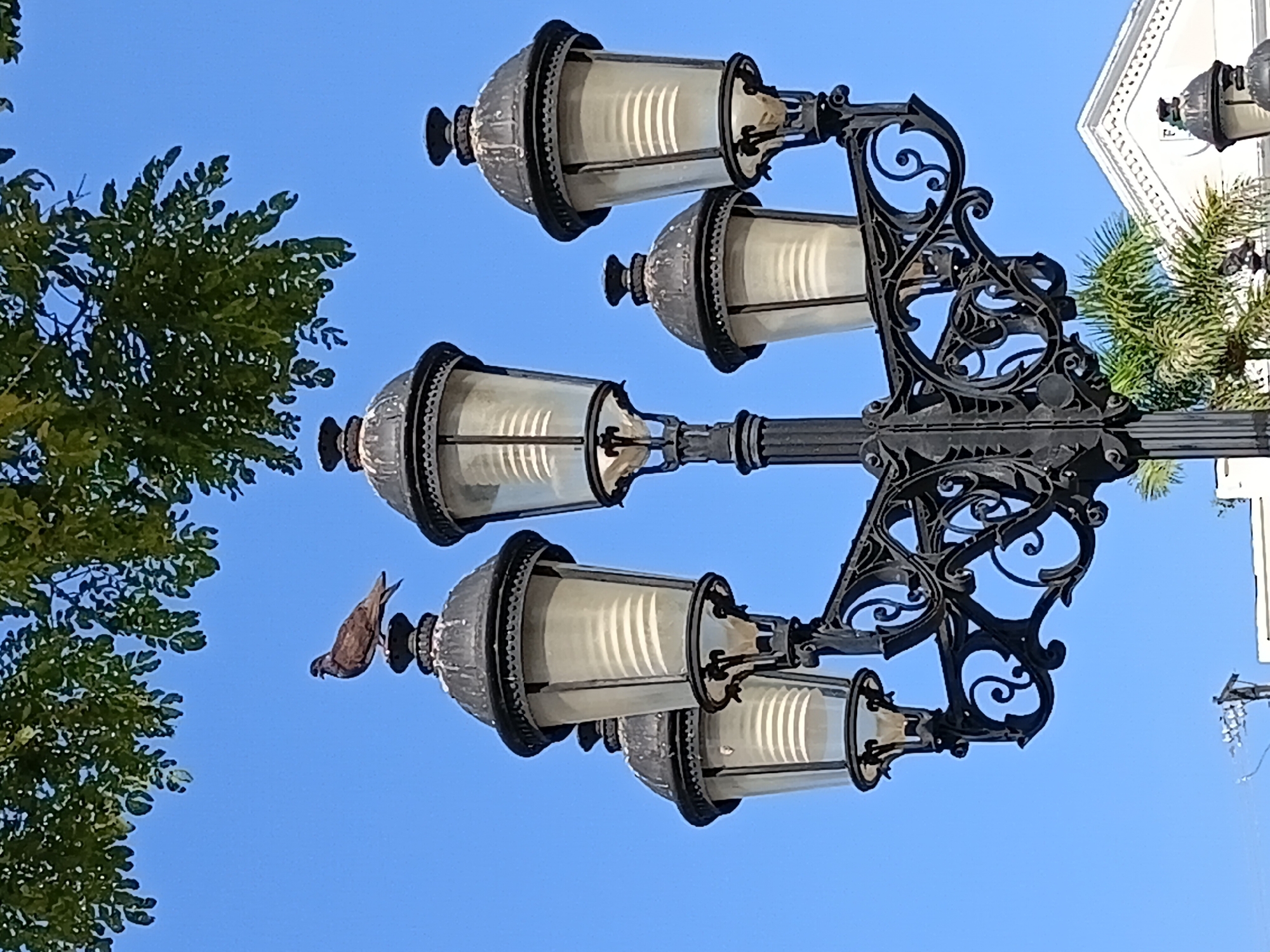 Puerto Plata's historic center: gazebo, street life, and local art