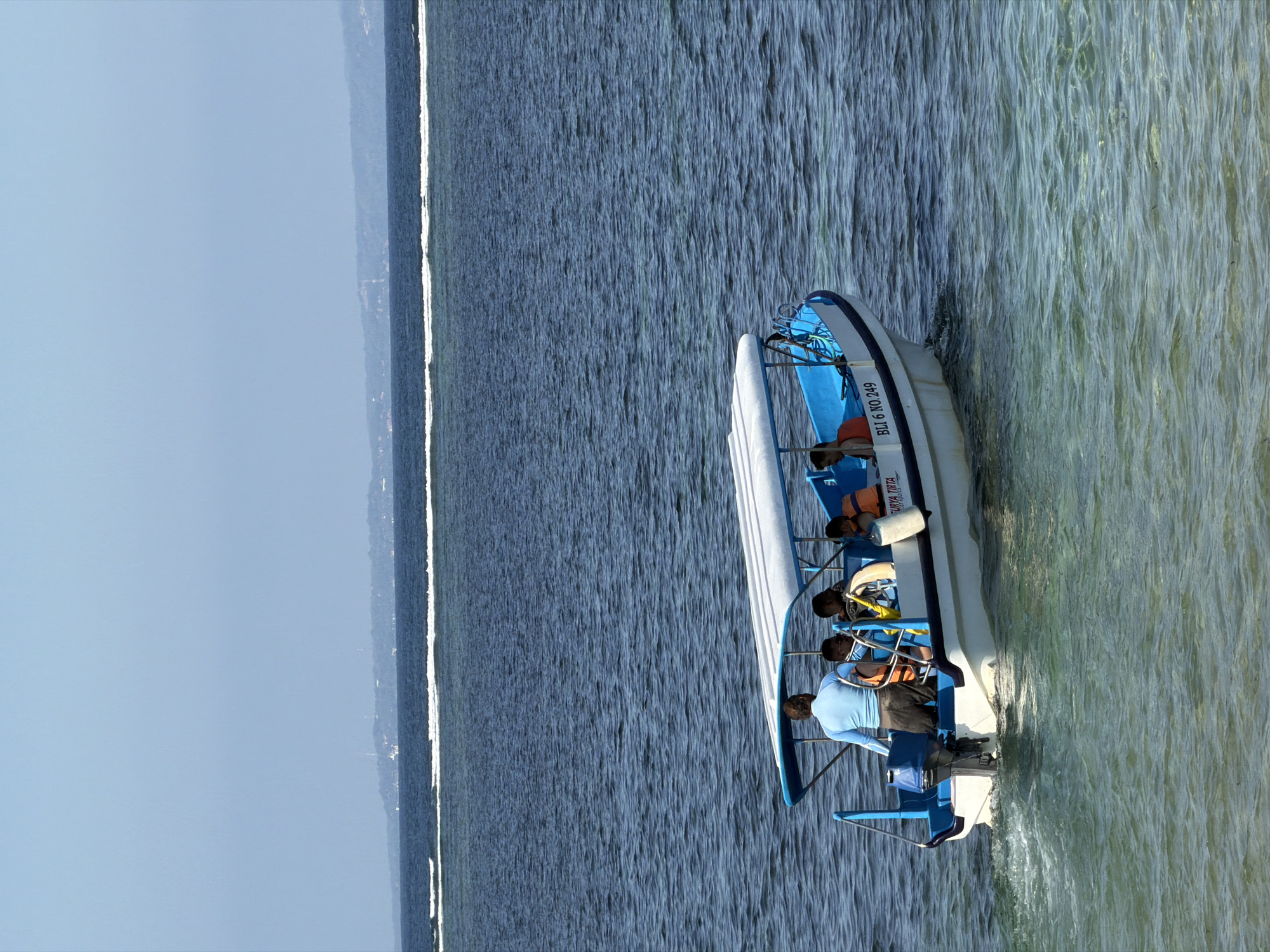 Morning beach life documented in Denpasar waters and shores