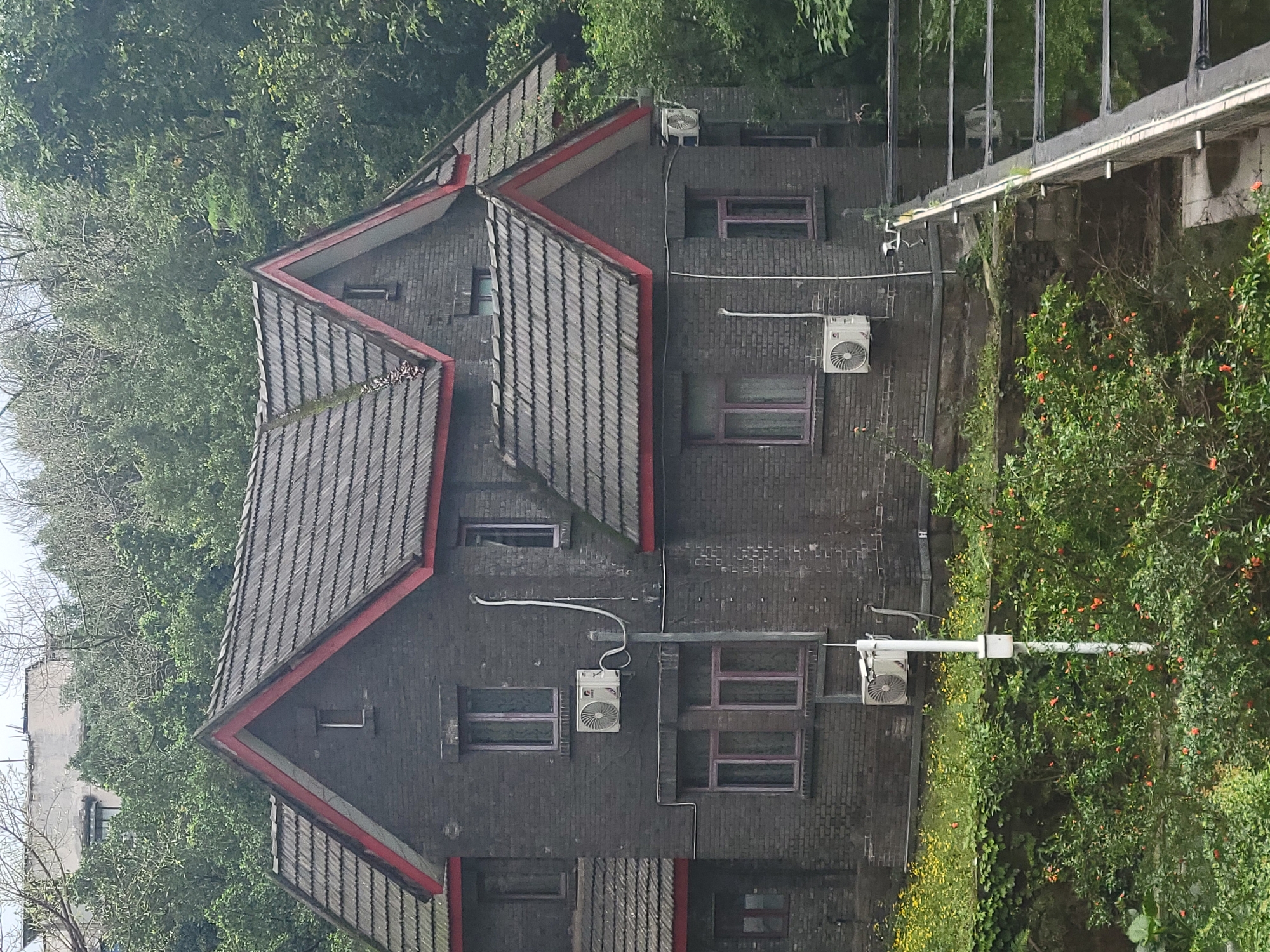 Morning life documented across Shapingba District, Chongqing